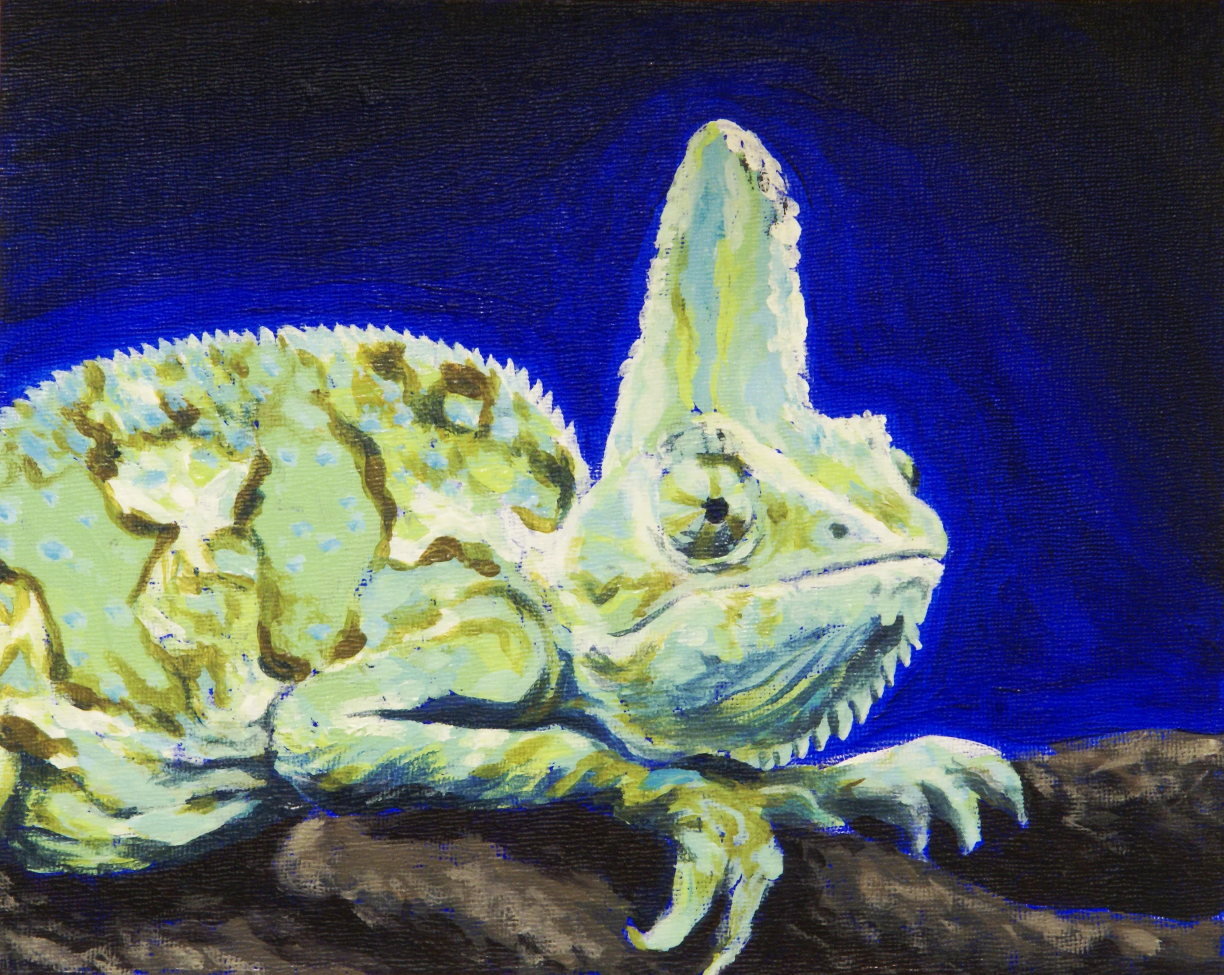 chameleon.jpg
