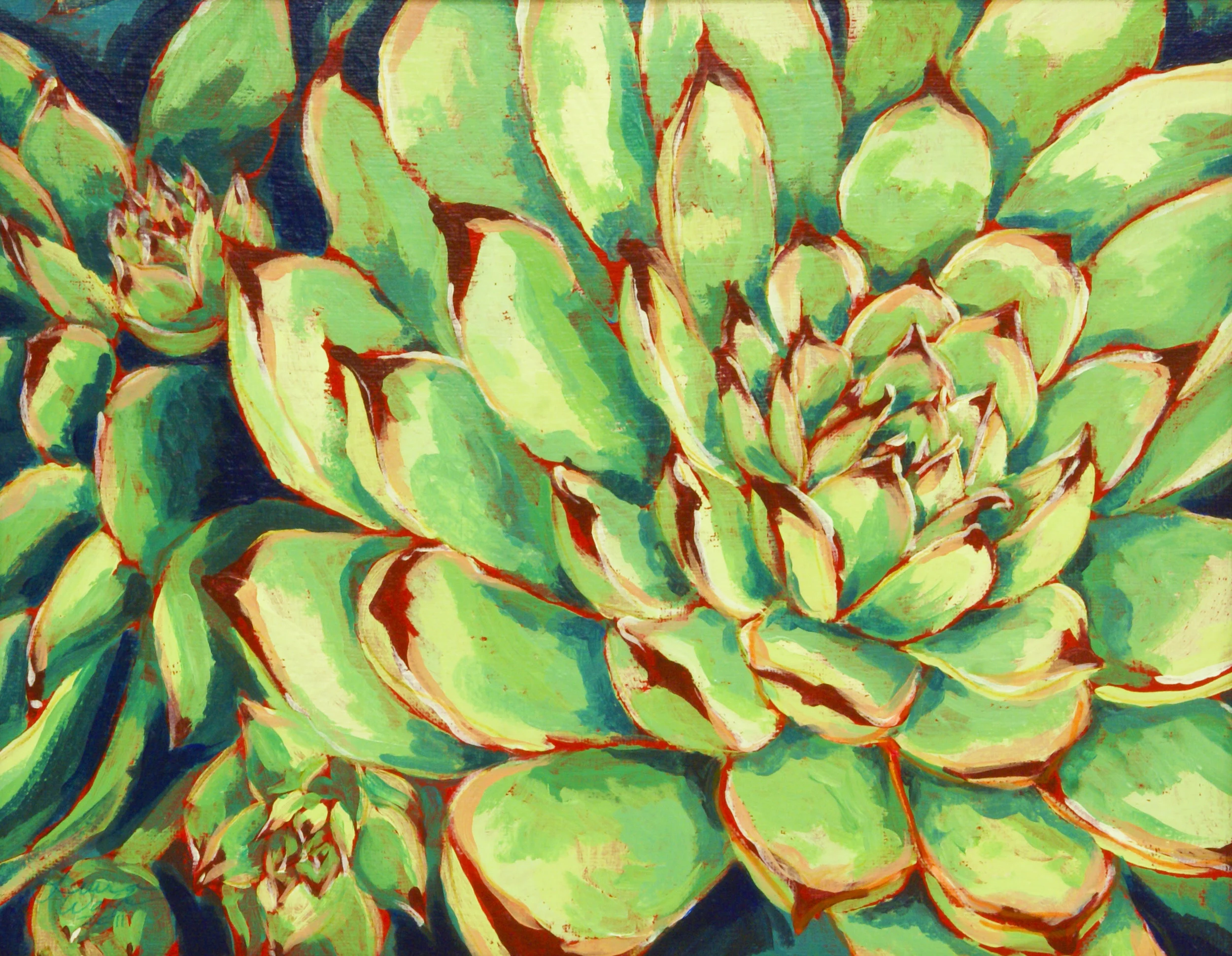 hens and chicks best.jpg
