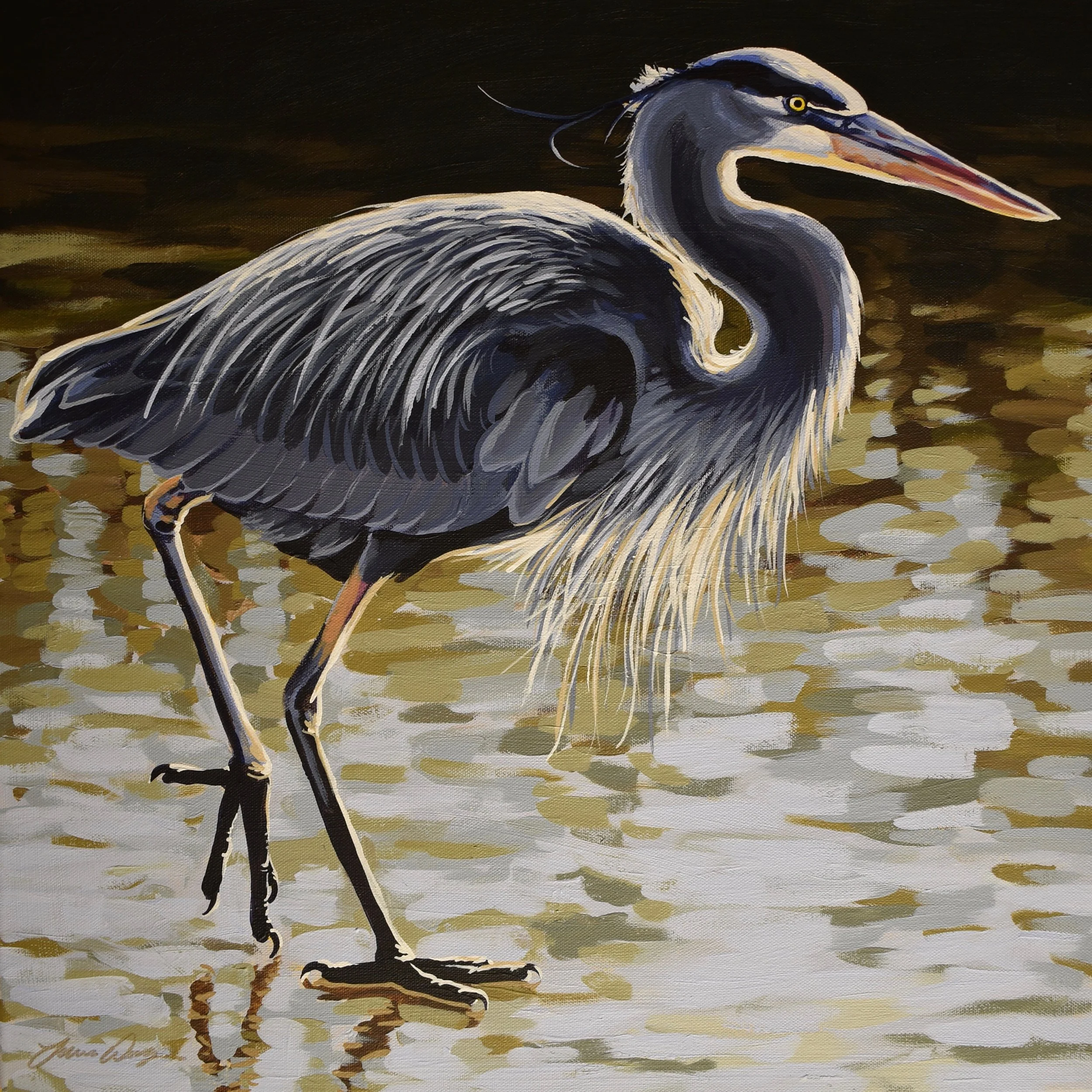 Great Blue Heron 3