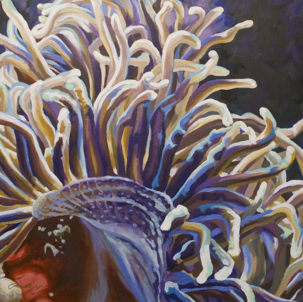 Anemone 24x24