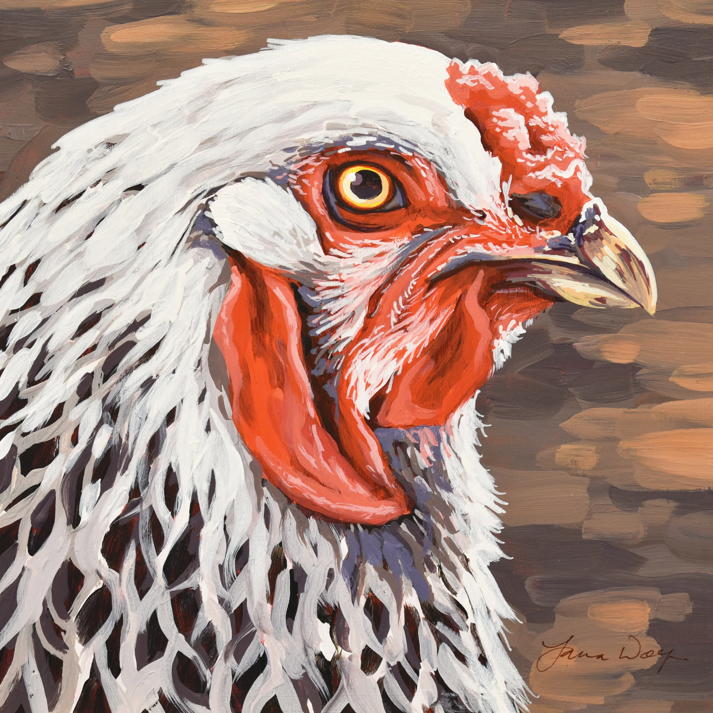 Brahma Hen Portrait