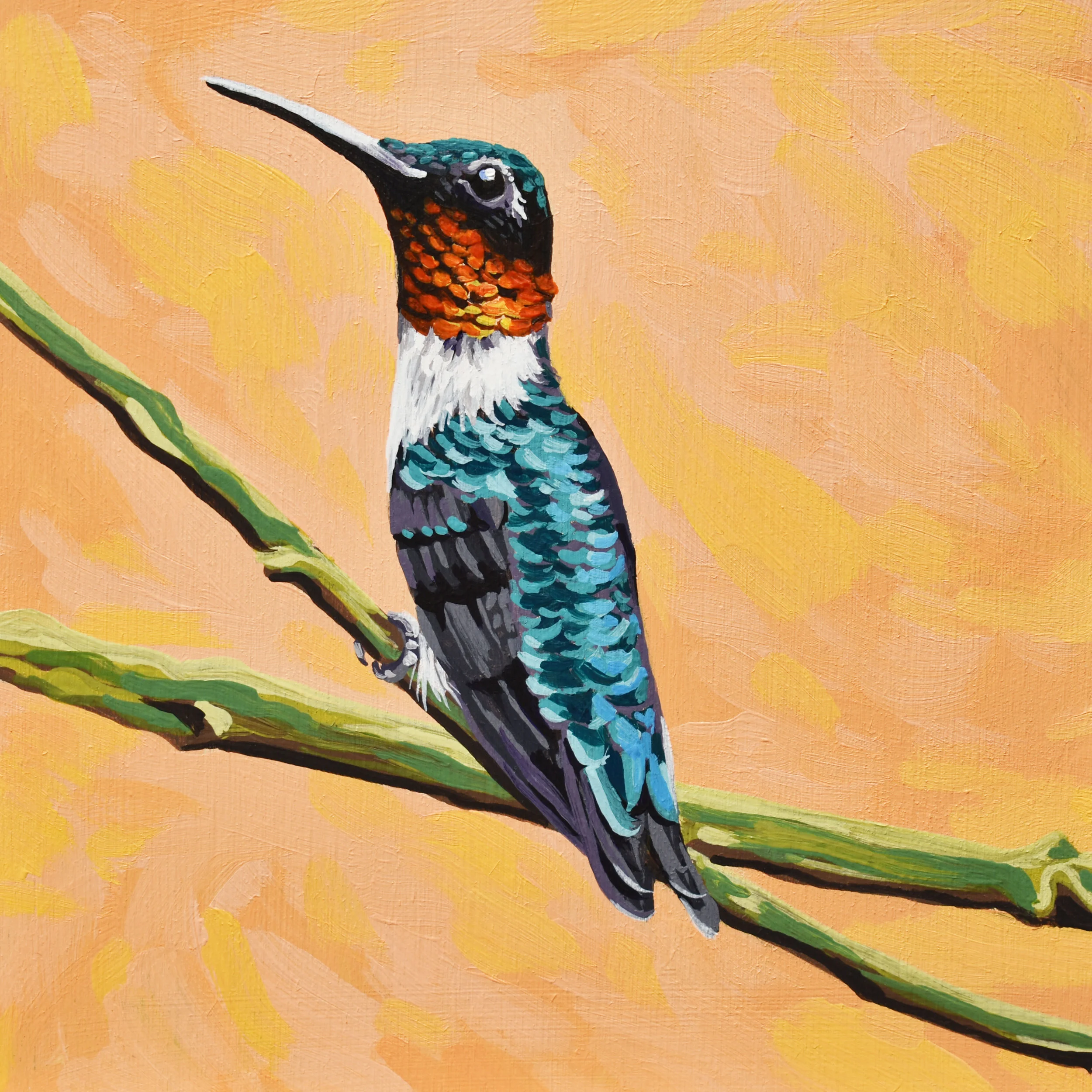 Ruby-throated Hummingbird Male