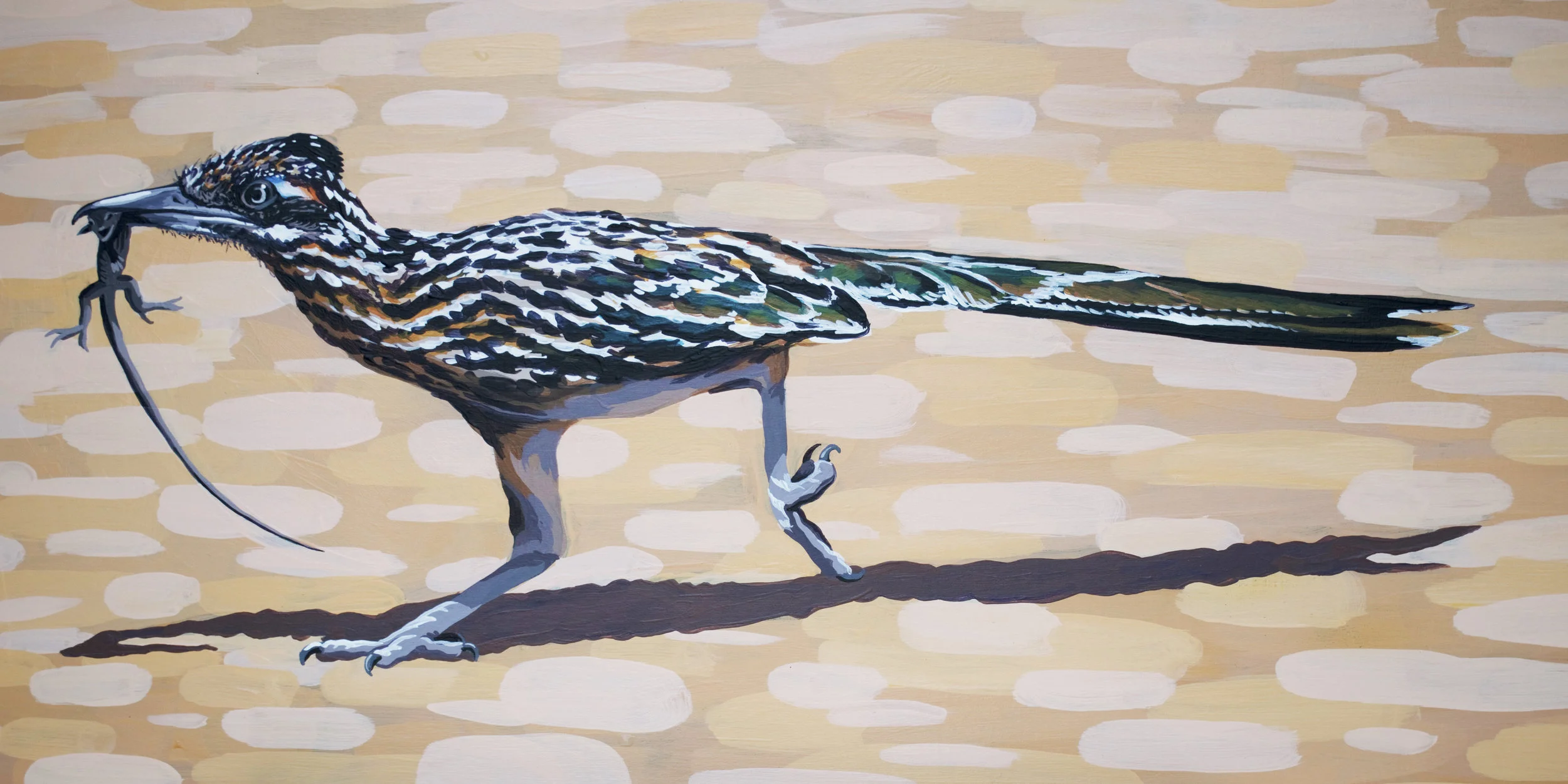 Greater Roadrunner