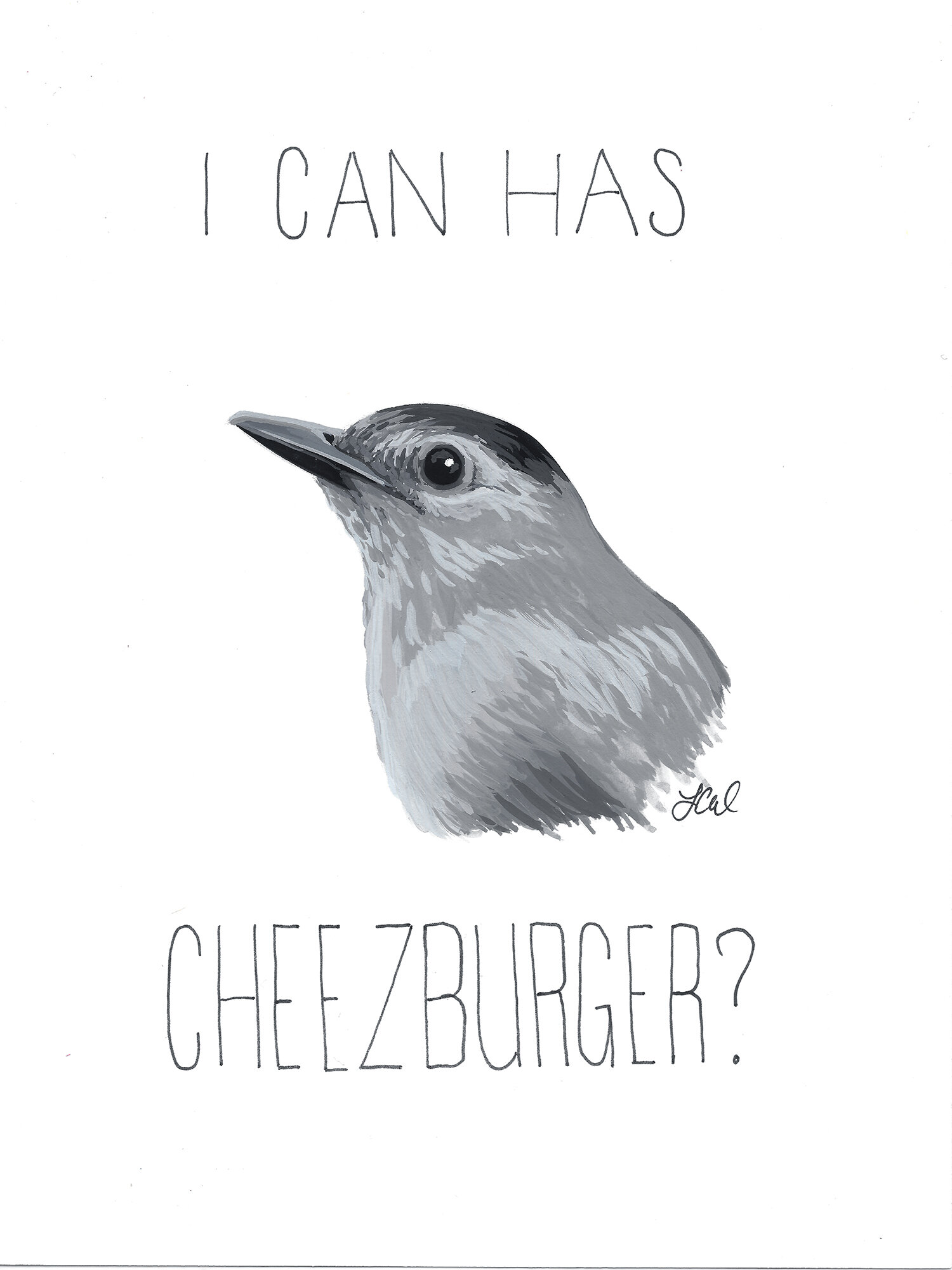 I Can Has Cheezburger? (Gray Catbird)