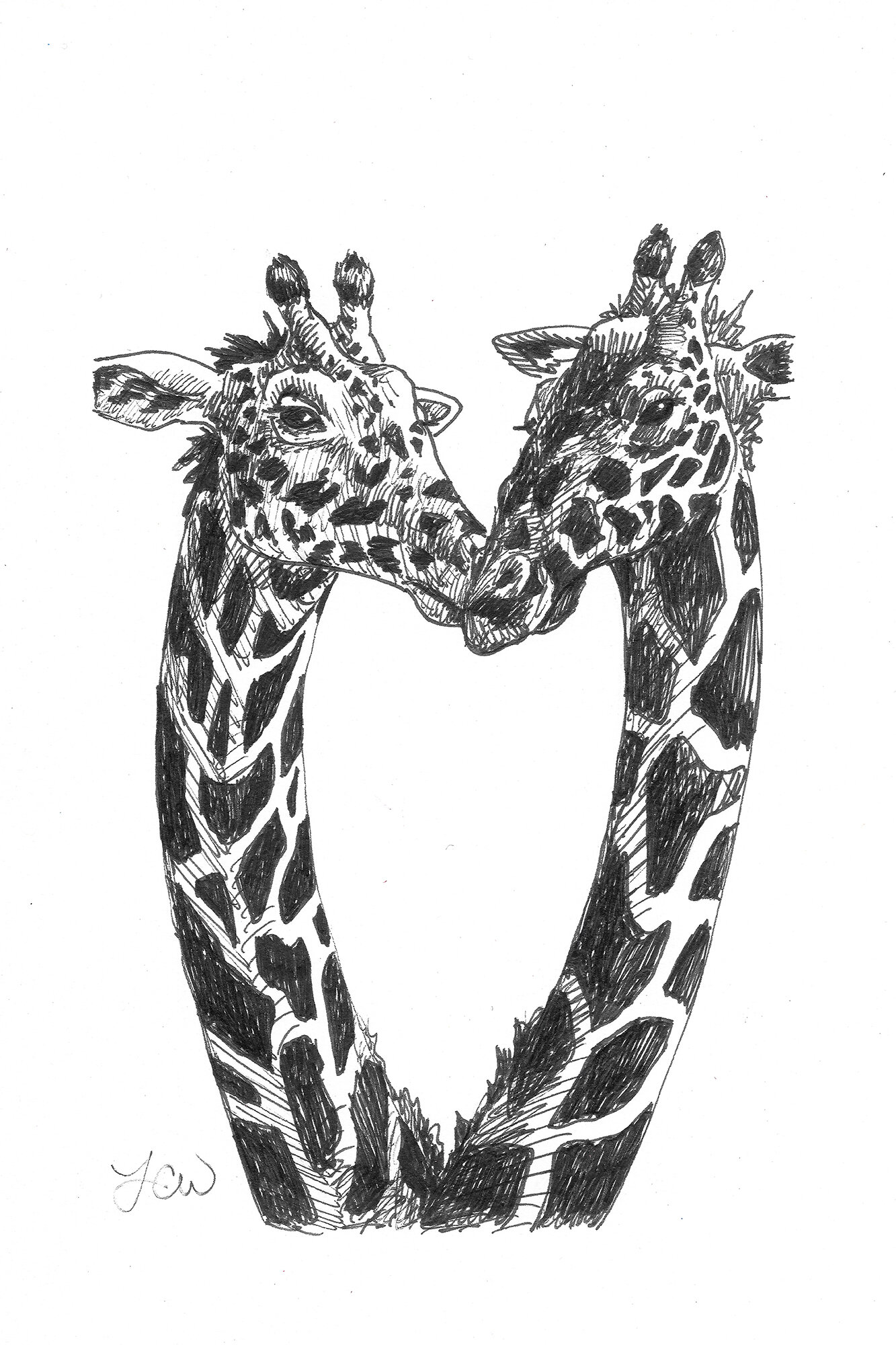 Giraffes, for Laurie