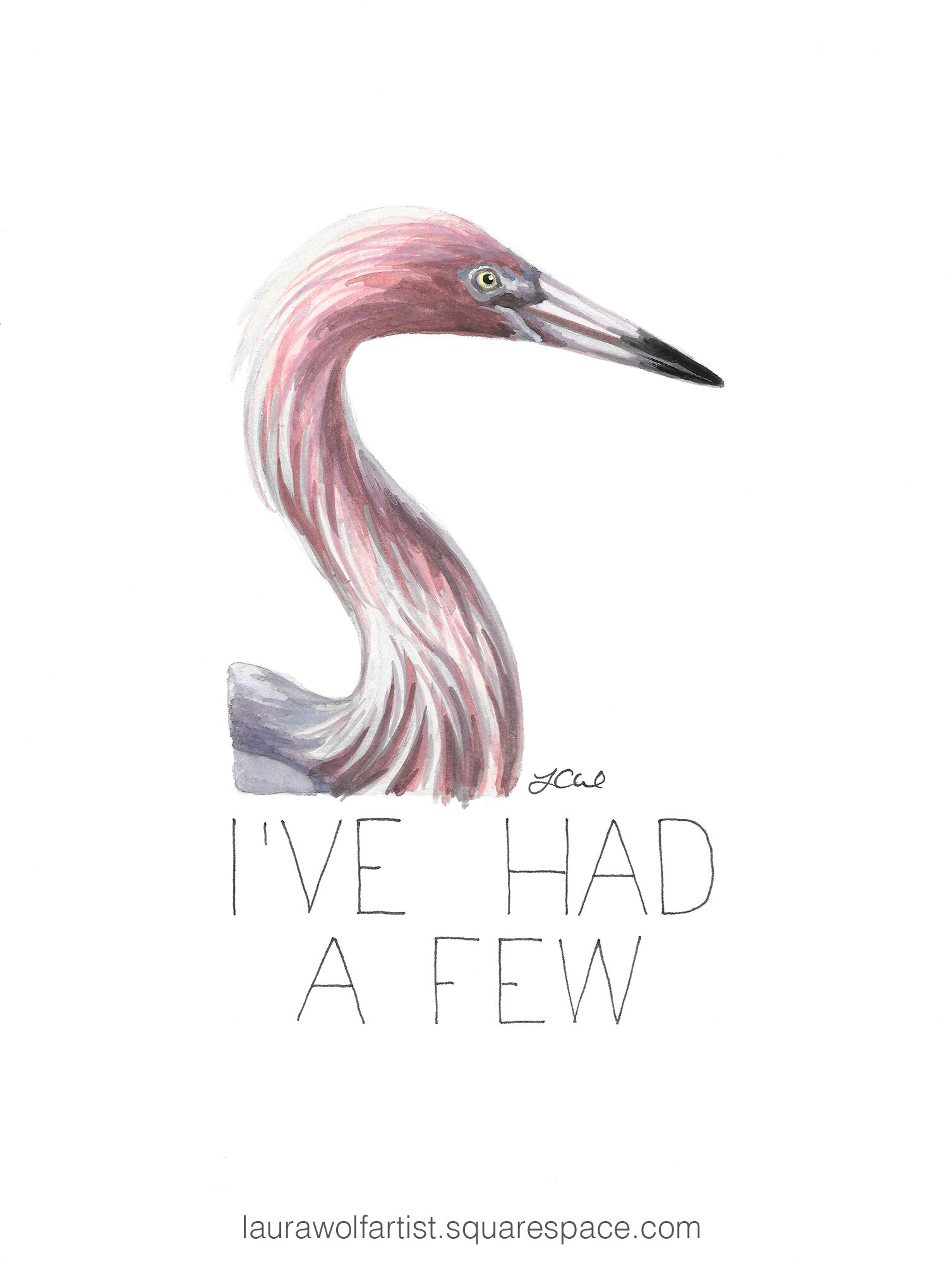 Egrets, I've Had A Few (Reddish Egret)