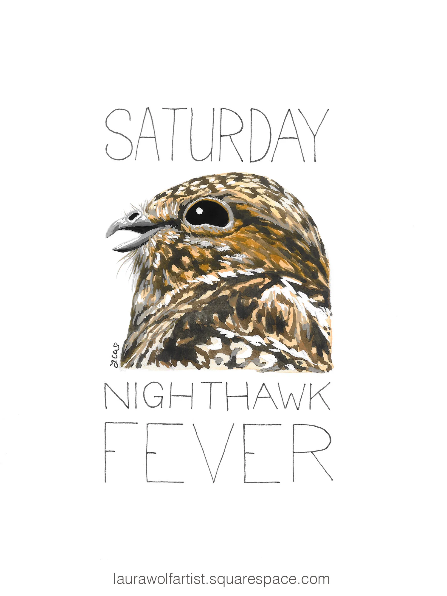 Saturday Nighthawk Fever smaller.jpg