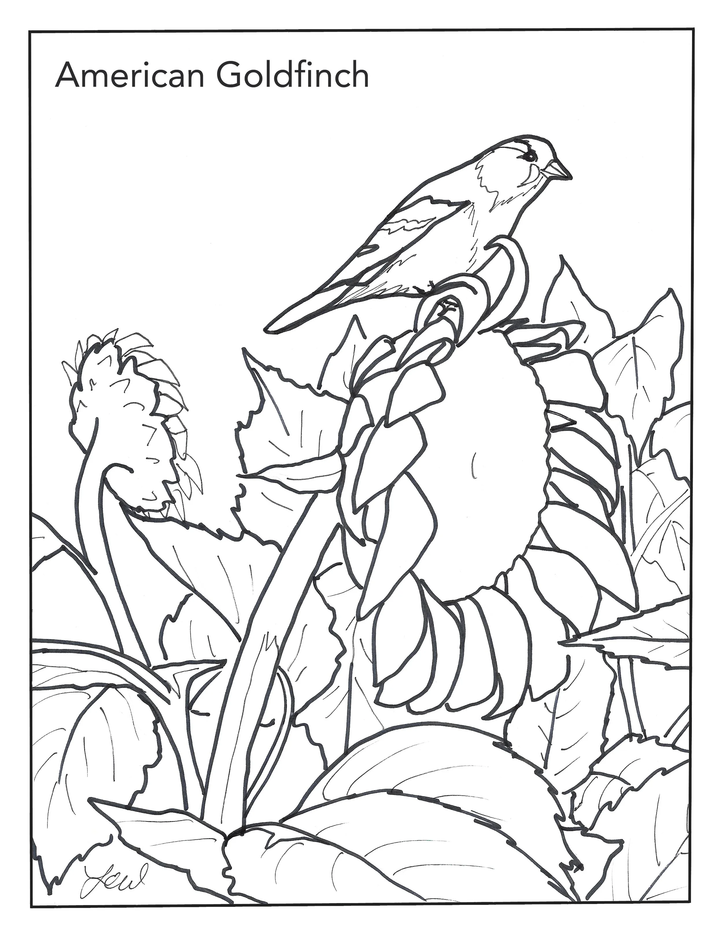 goldfinch final signed.jpg