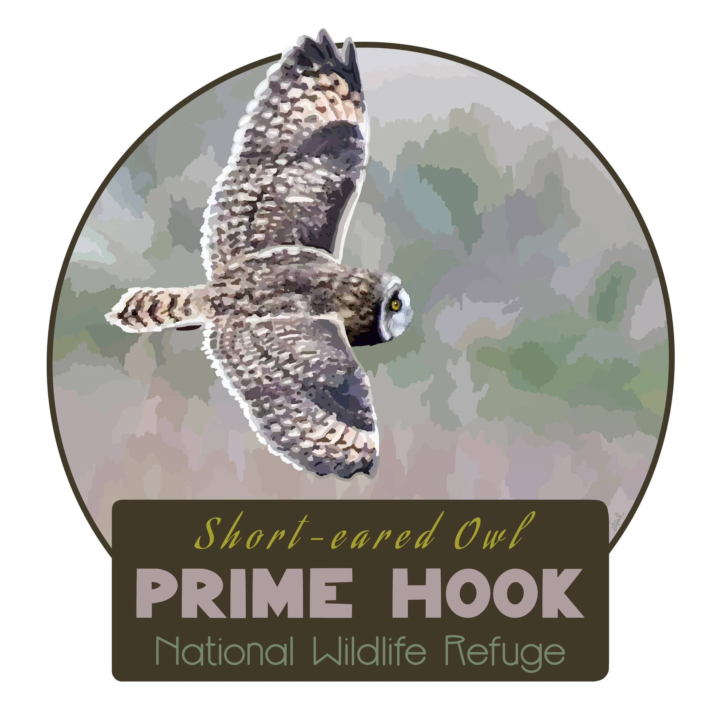 Birds and Parks:Prime Hook NWR:SE Owl IMG_3344.JPG