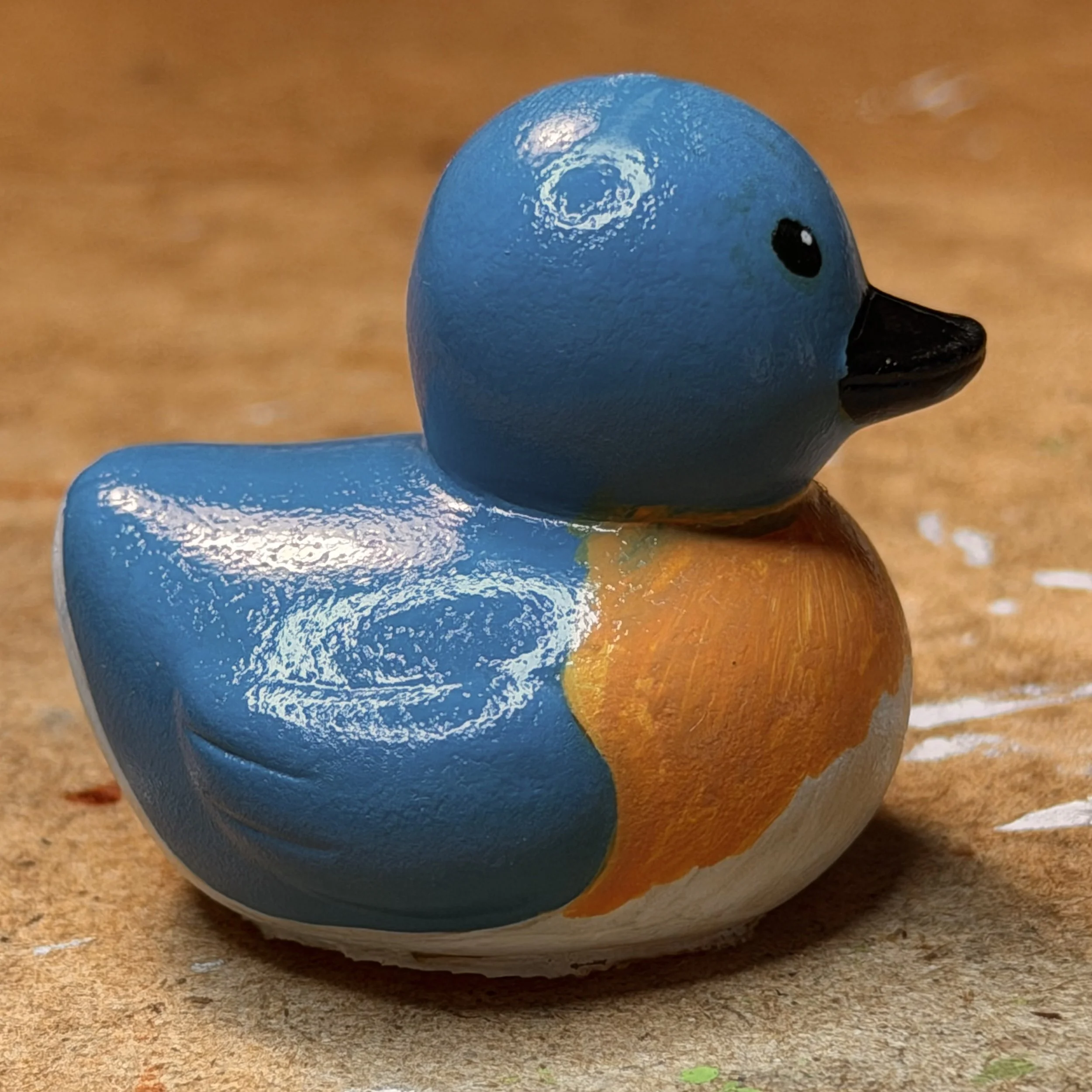 eastern bluebird 1 side IMG_1774.jpg