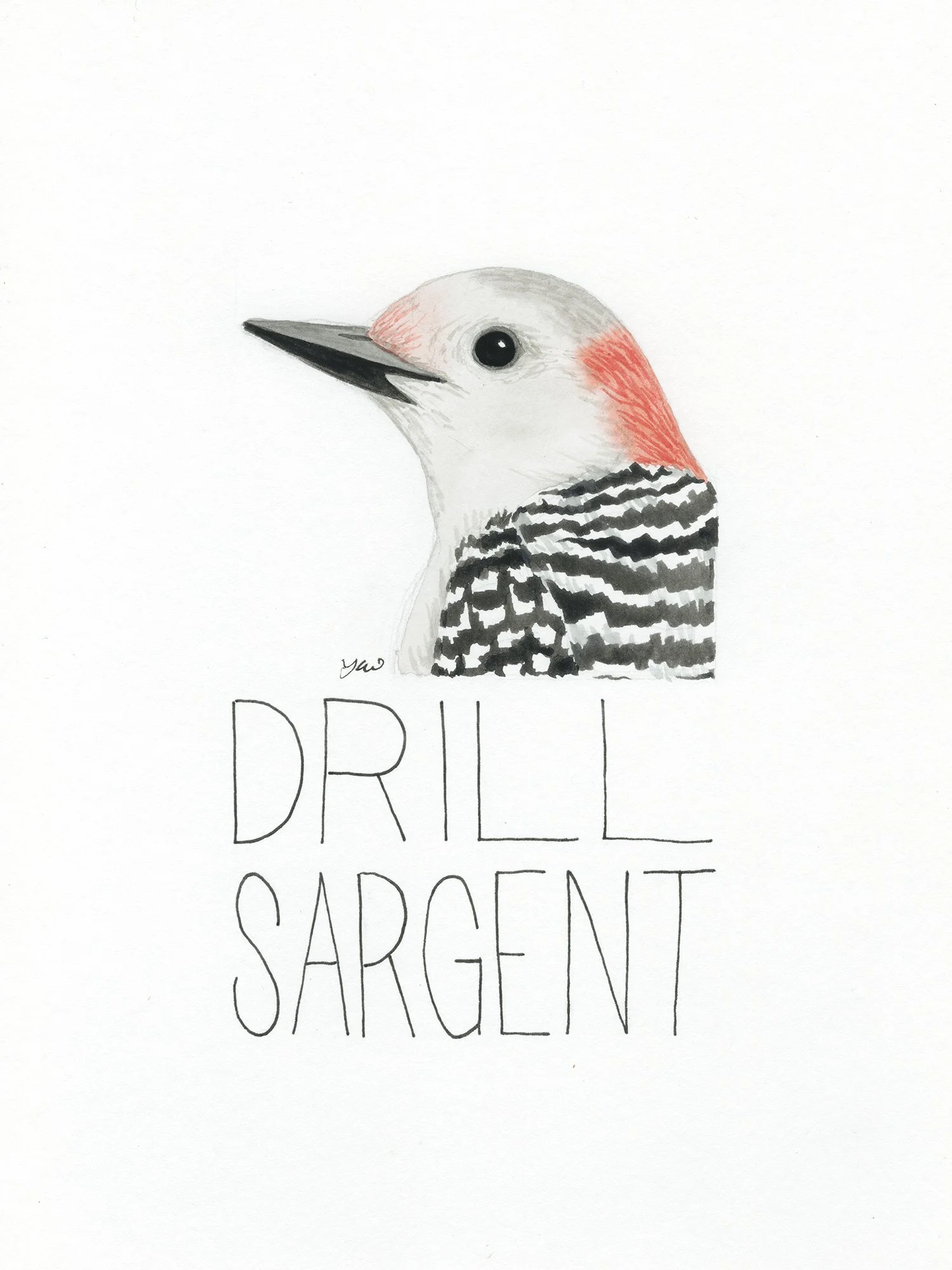 drill sargent smaller.jpg