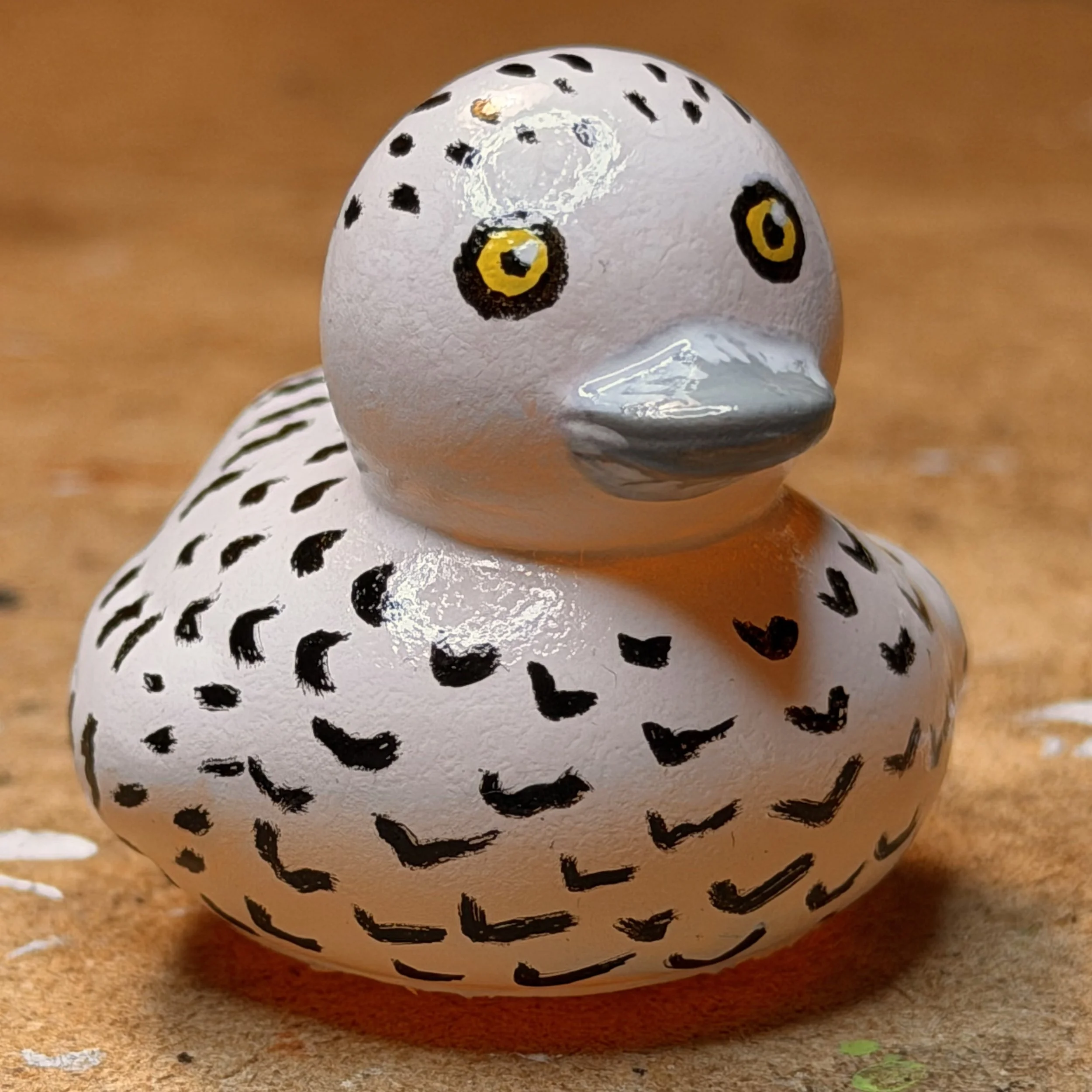 snowy owl 1 front IMG_1775.jpg