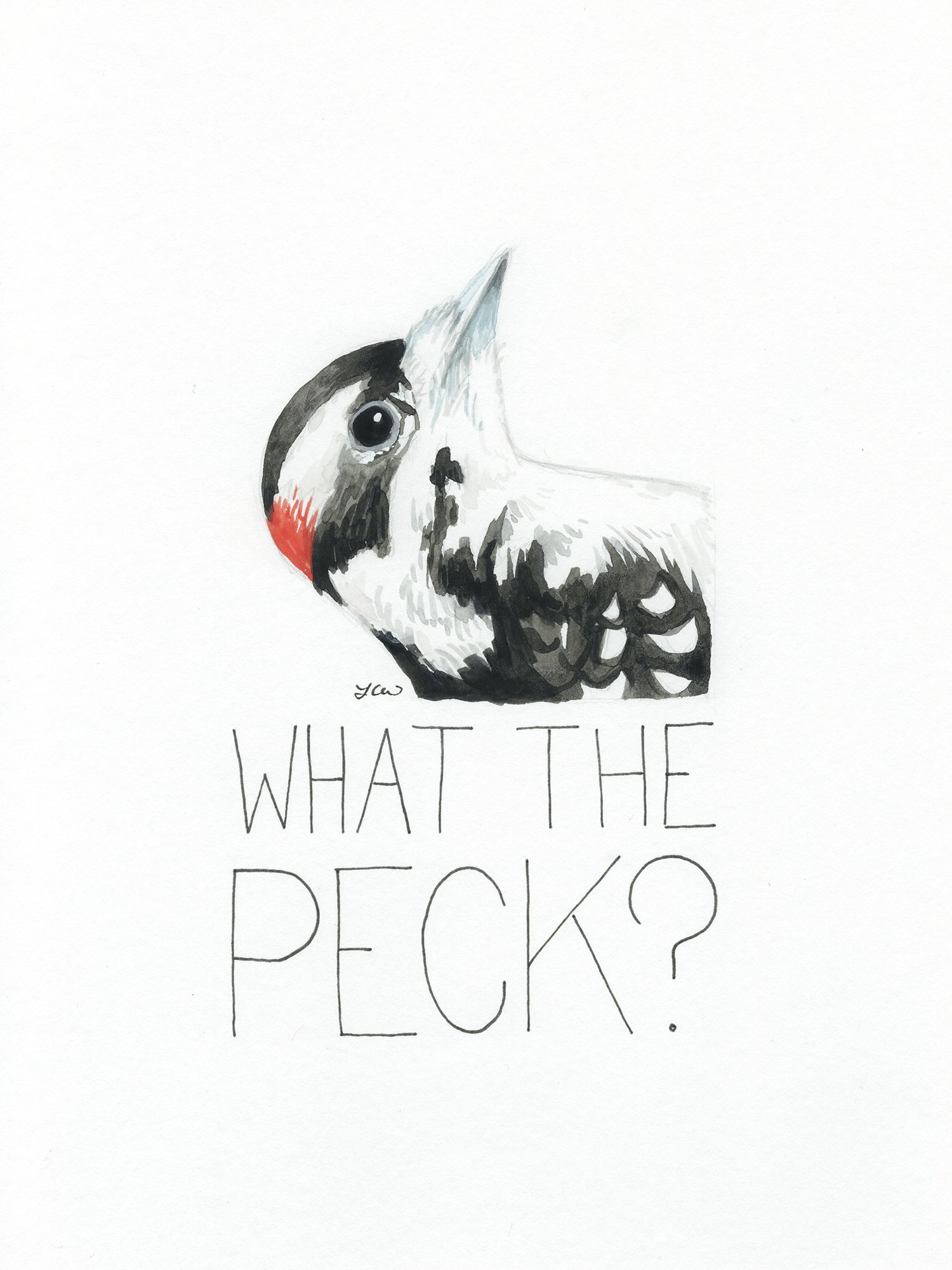 what the peck smaller.jpg