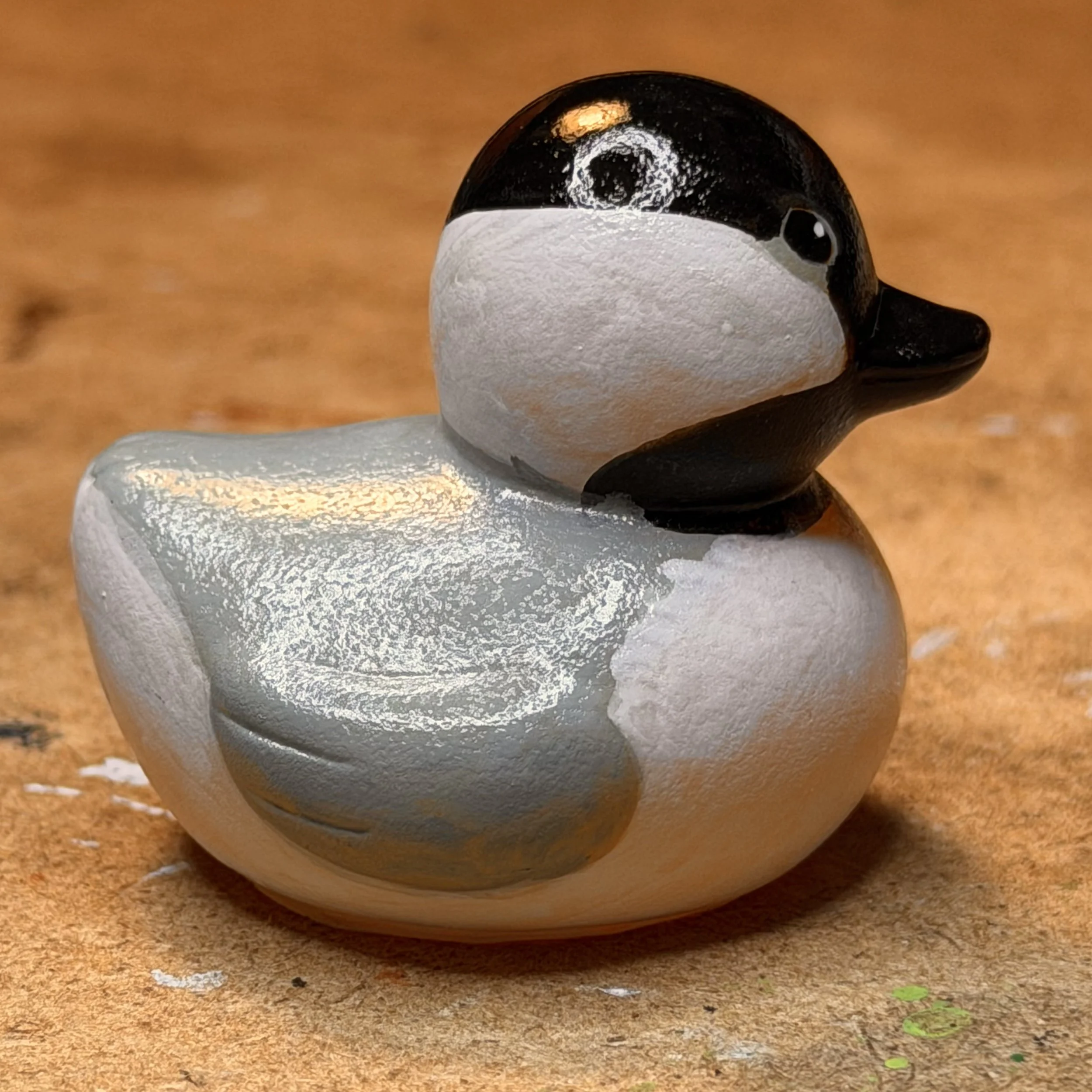 carolina chickadee 1 side IMG_1772.jpg