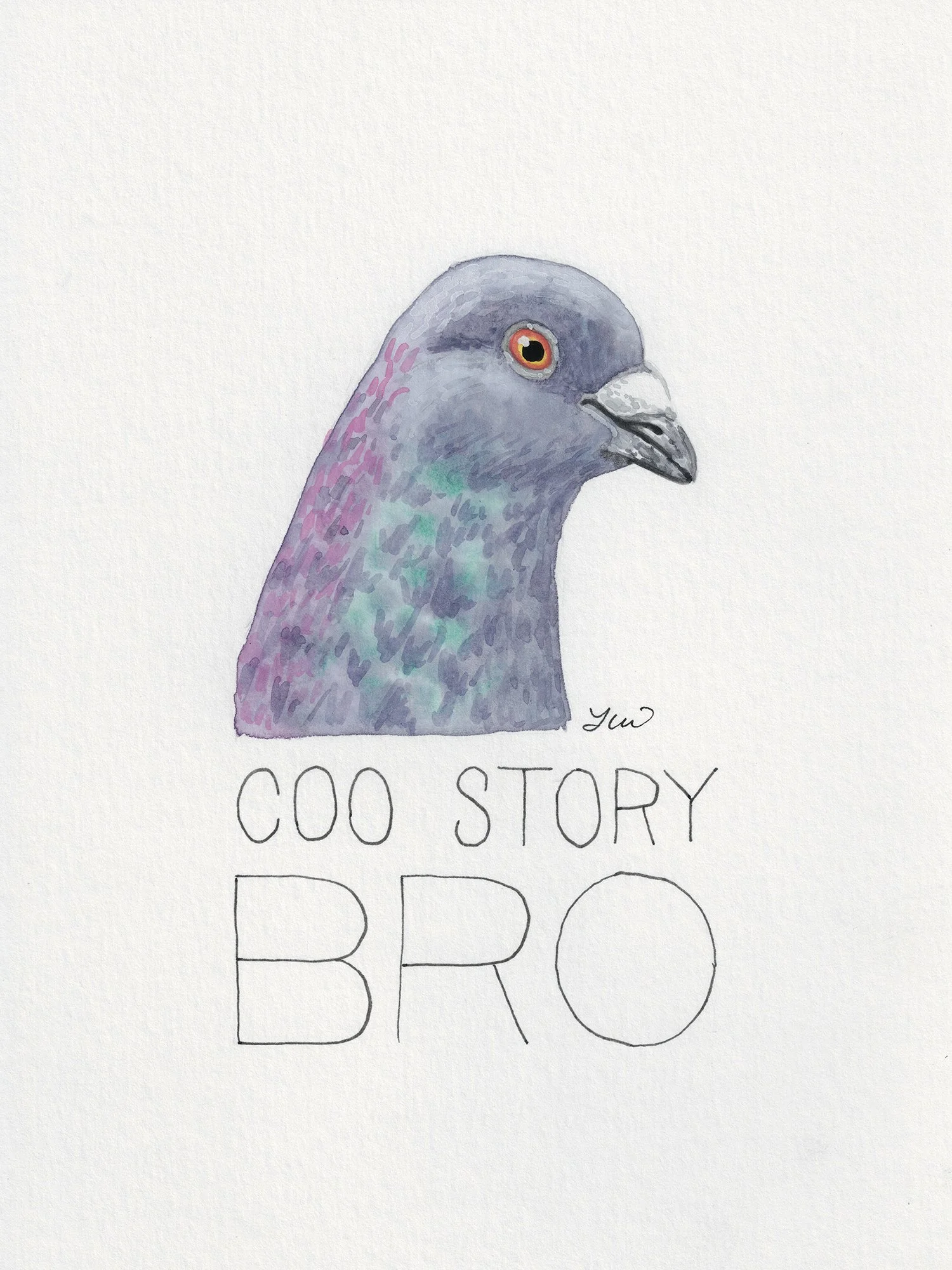 coo story bro smaller.jpg