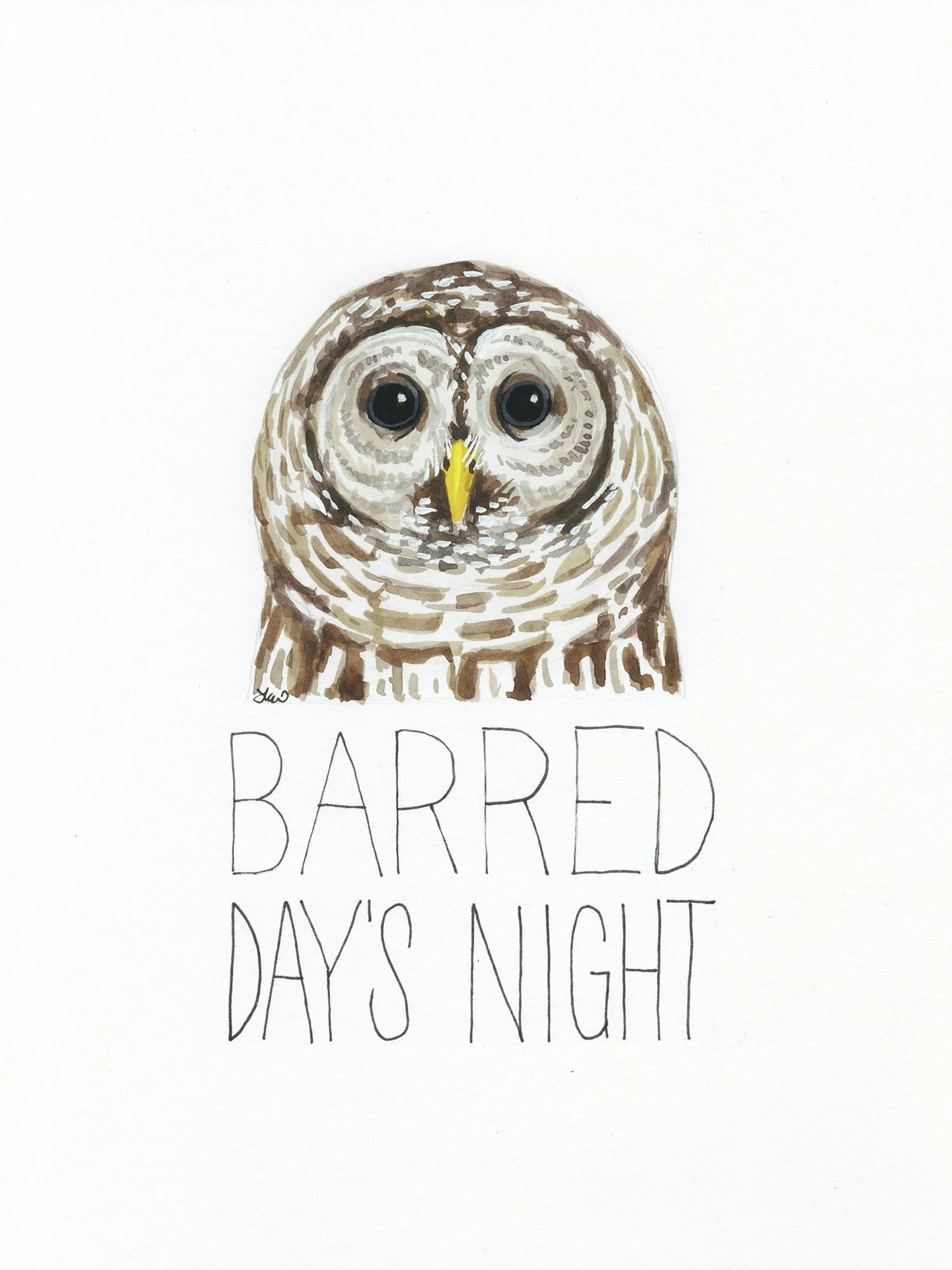 barred day's night smaller.jpg
