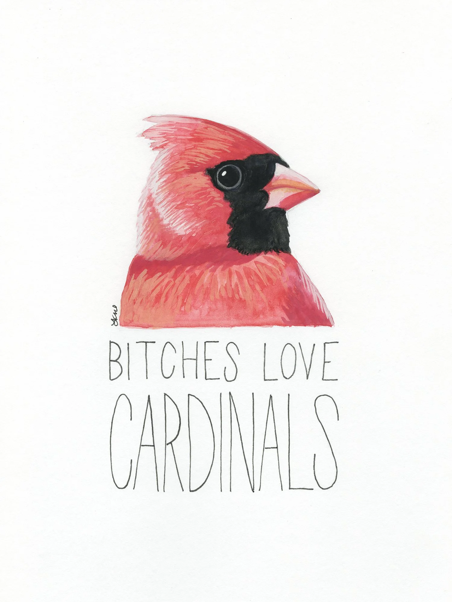 bitches love cardinals smaller.jpg