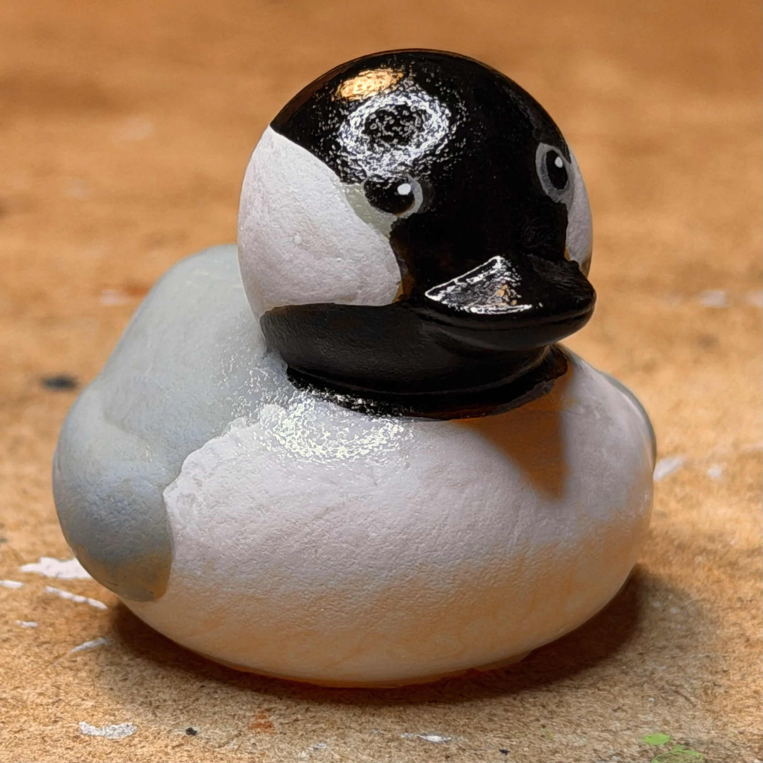 carolina chickadee 1 front IMG_1771.jpg