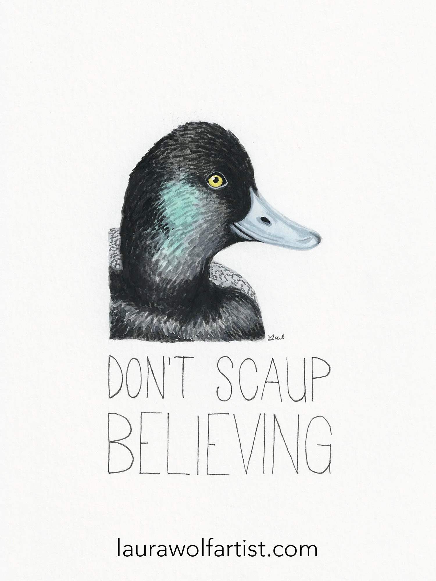 don't scaup believing smaller.jpg