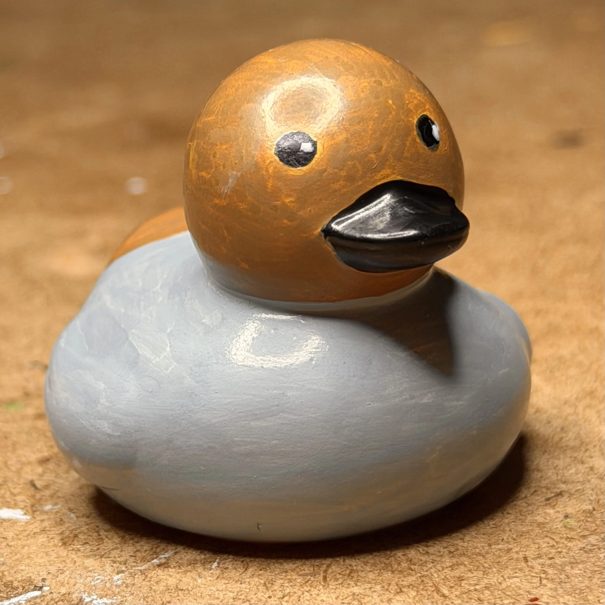 canvasback 2 IMG_1816.jpg