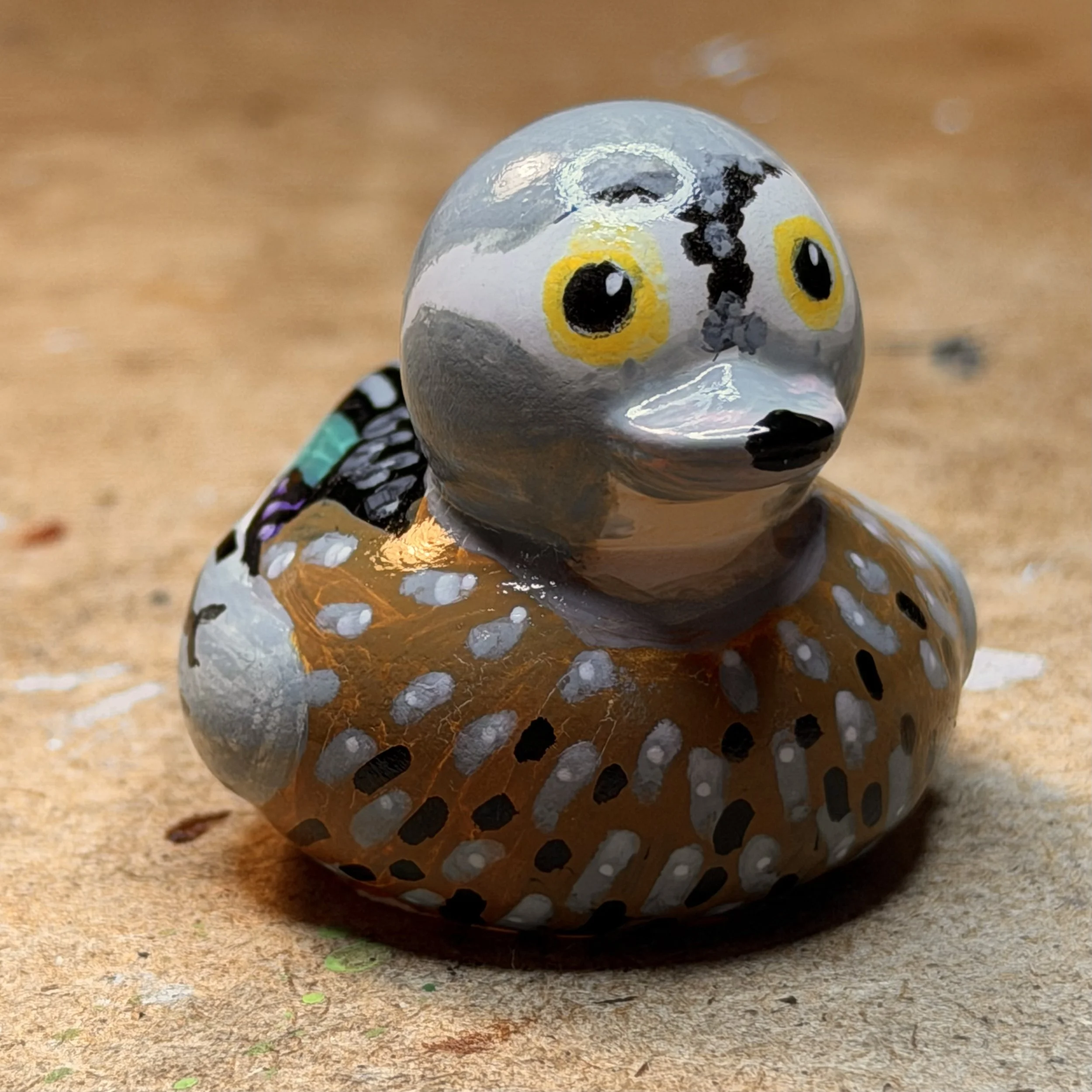 wood duck 4 front IMG_1767.jpg