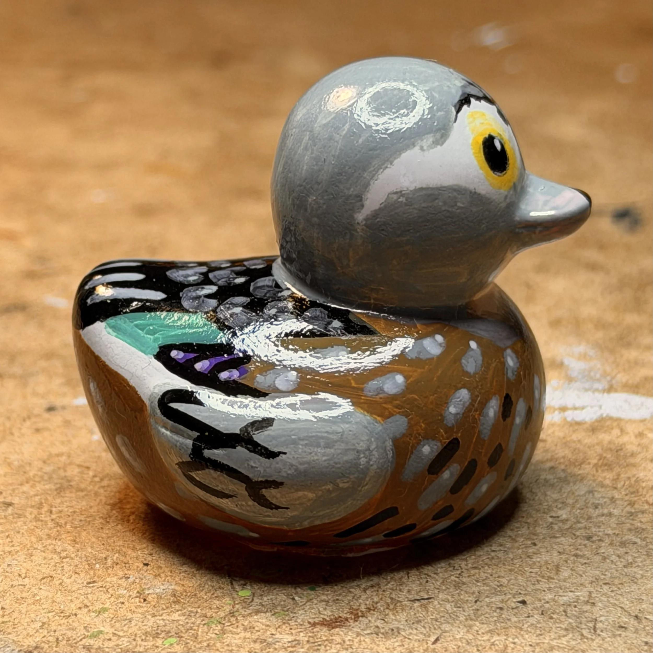 wood duck 4 side IMG_1768.jpg