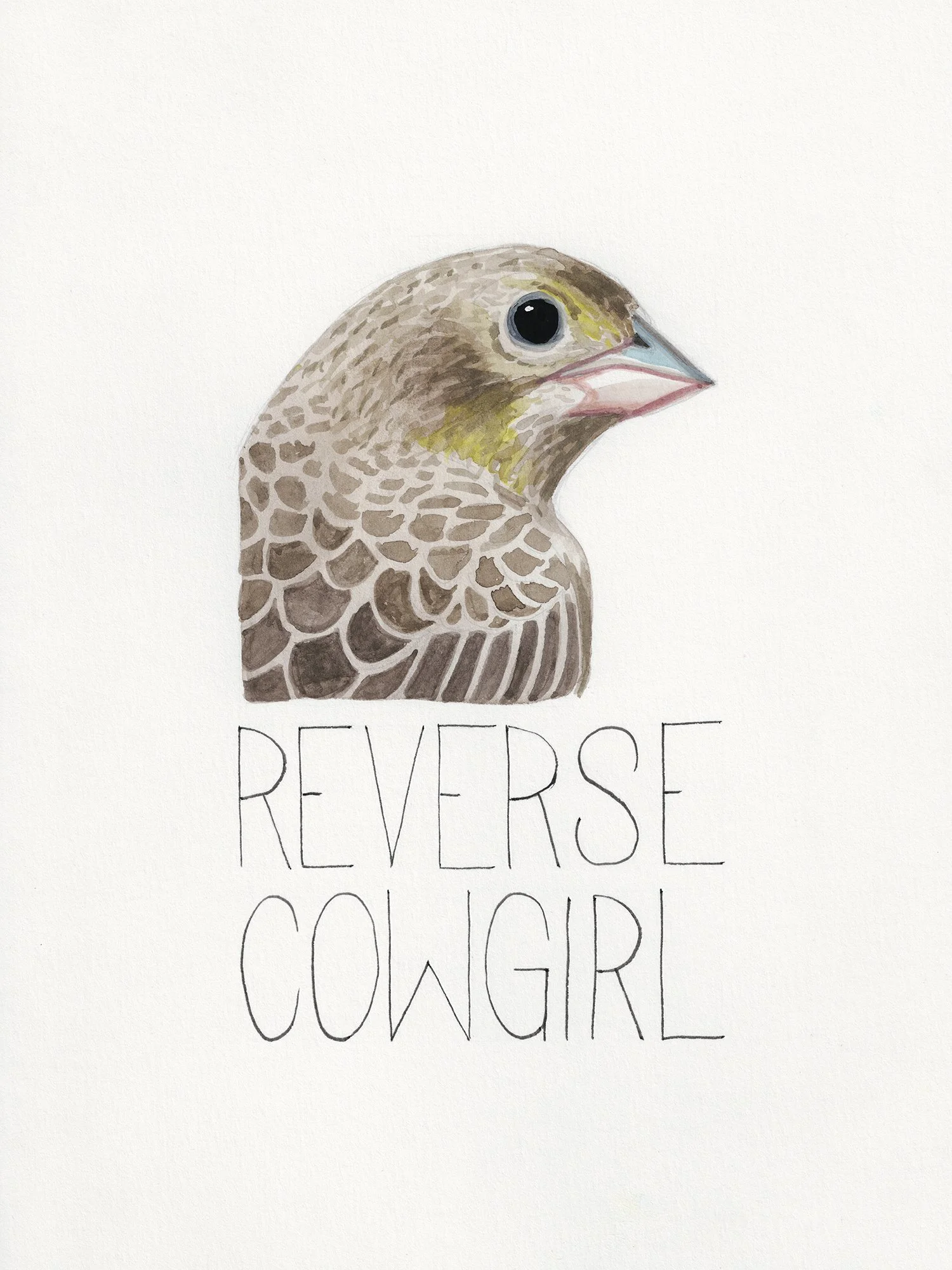 reverse cowgirl smaller.jpg