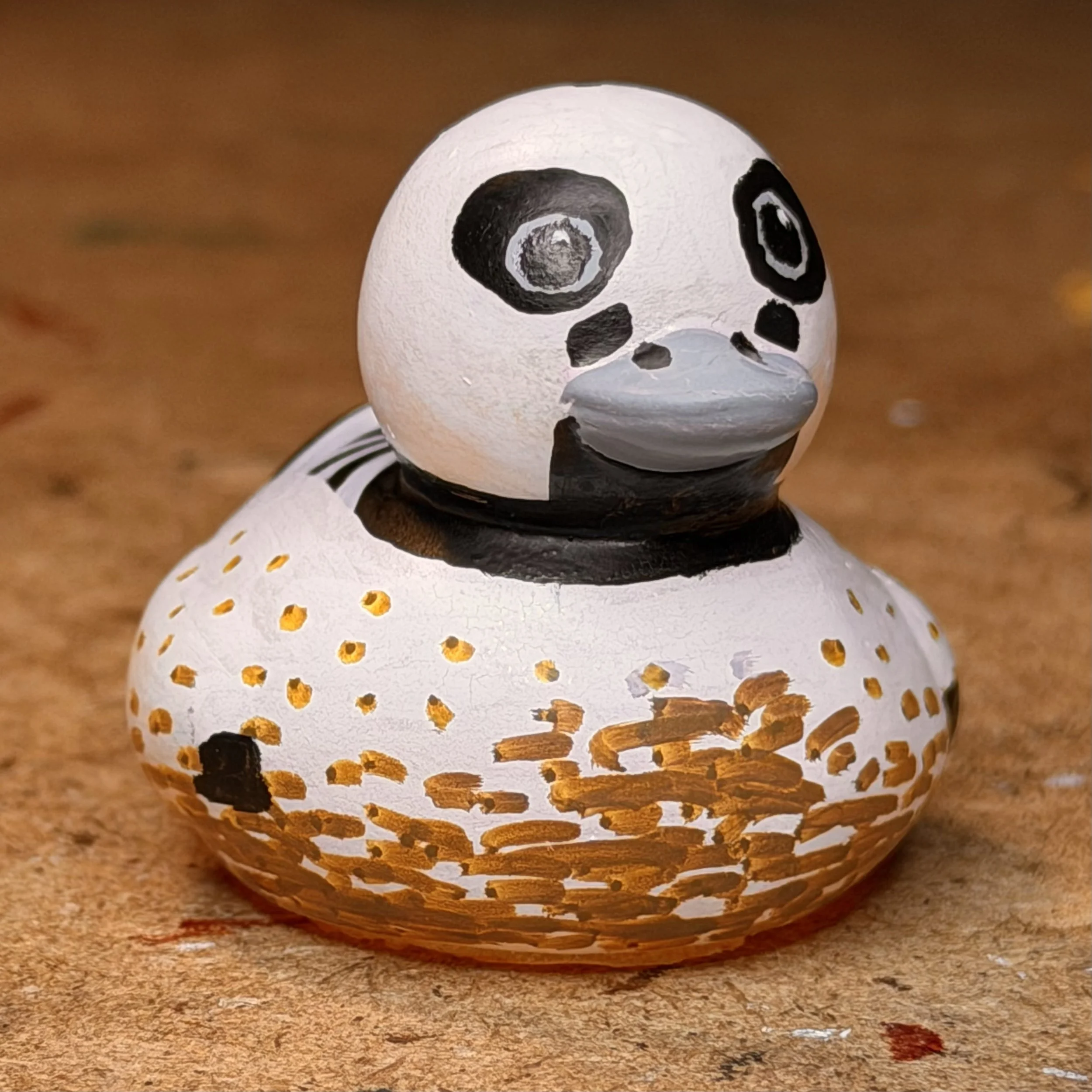 steller's eider IMG_2022.jpg