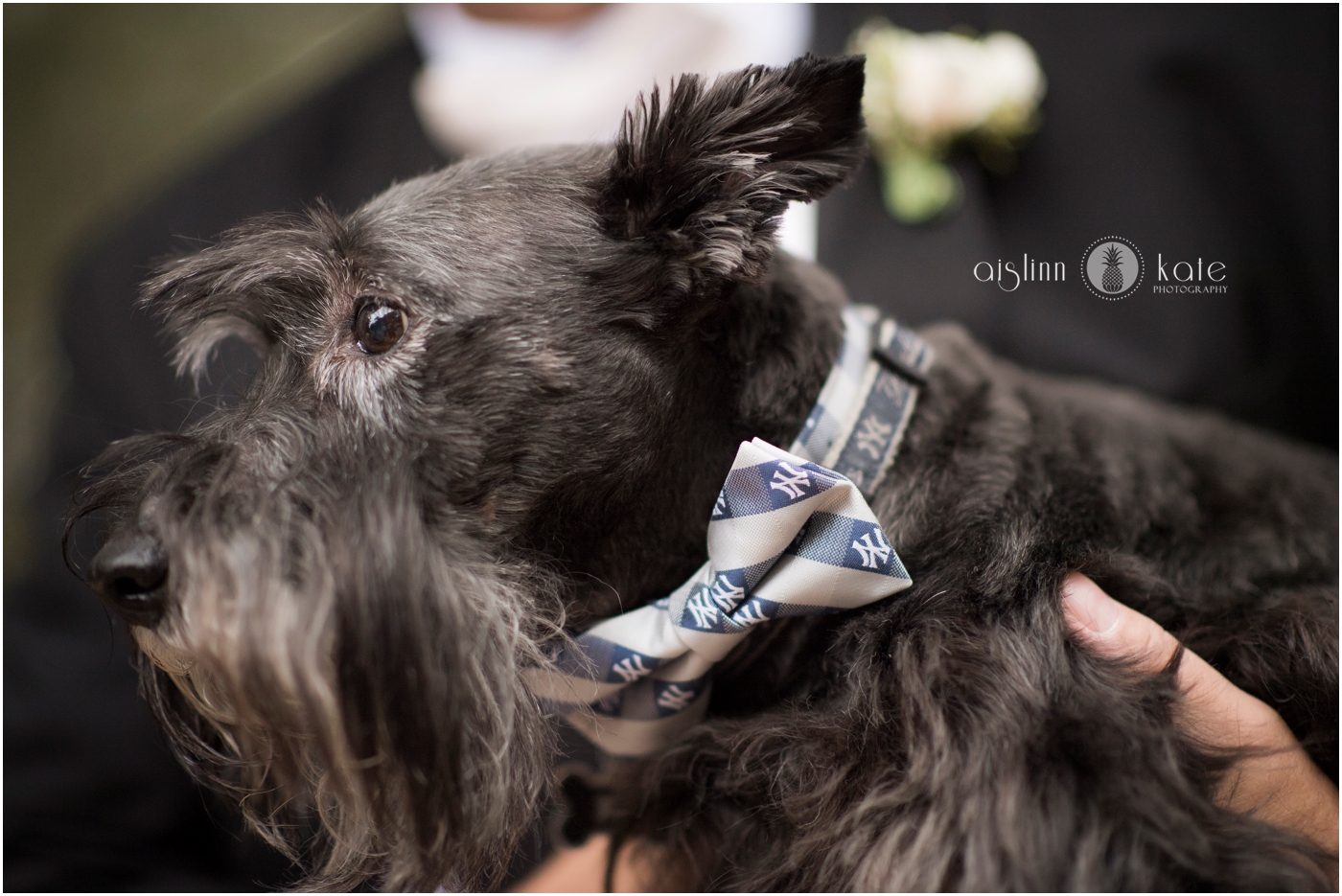 Pensacola-Destin-Wedding-Photographer_9468.jpg