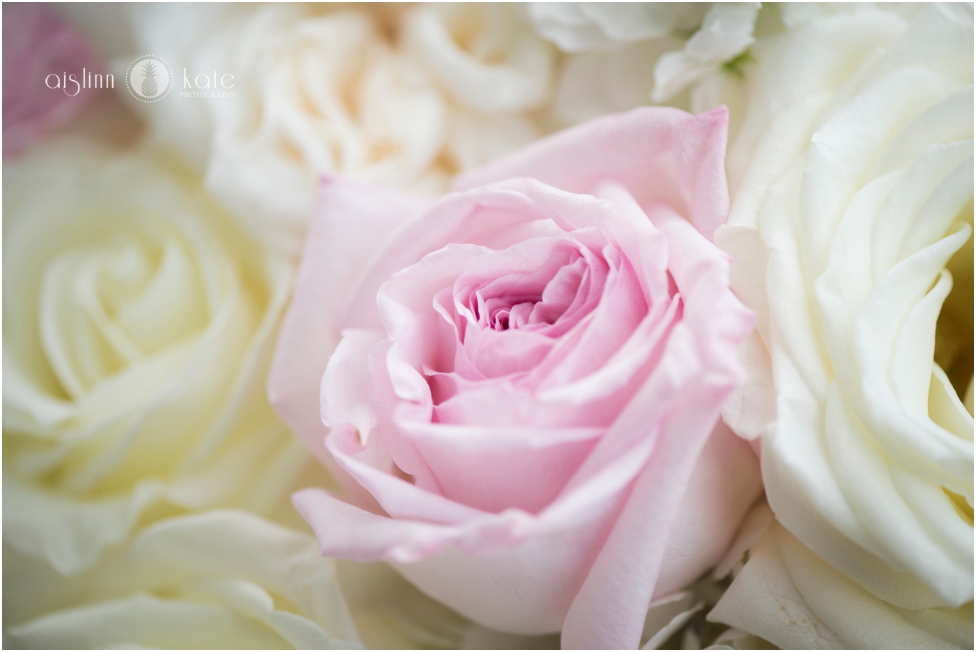 Pensacola-Destin-Wedding-Photographer_8706.jpg