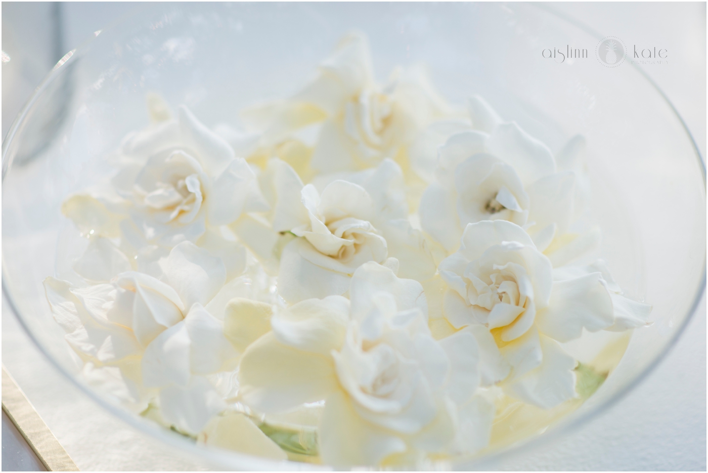 Pensacola-Destin-Wedding-Photographer_8762.jpg