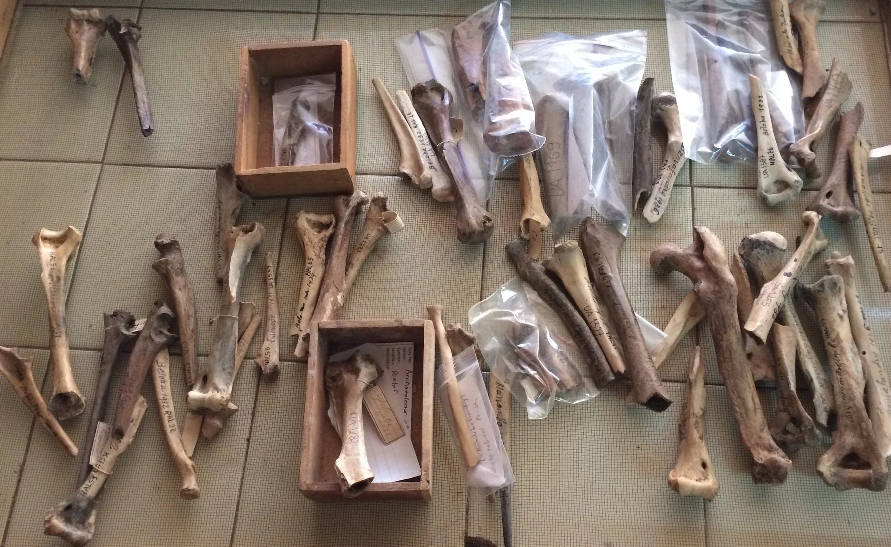 2014-07-01 11.50.02.jpg