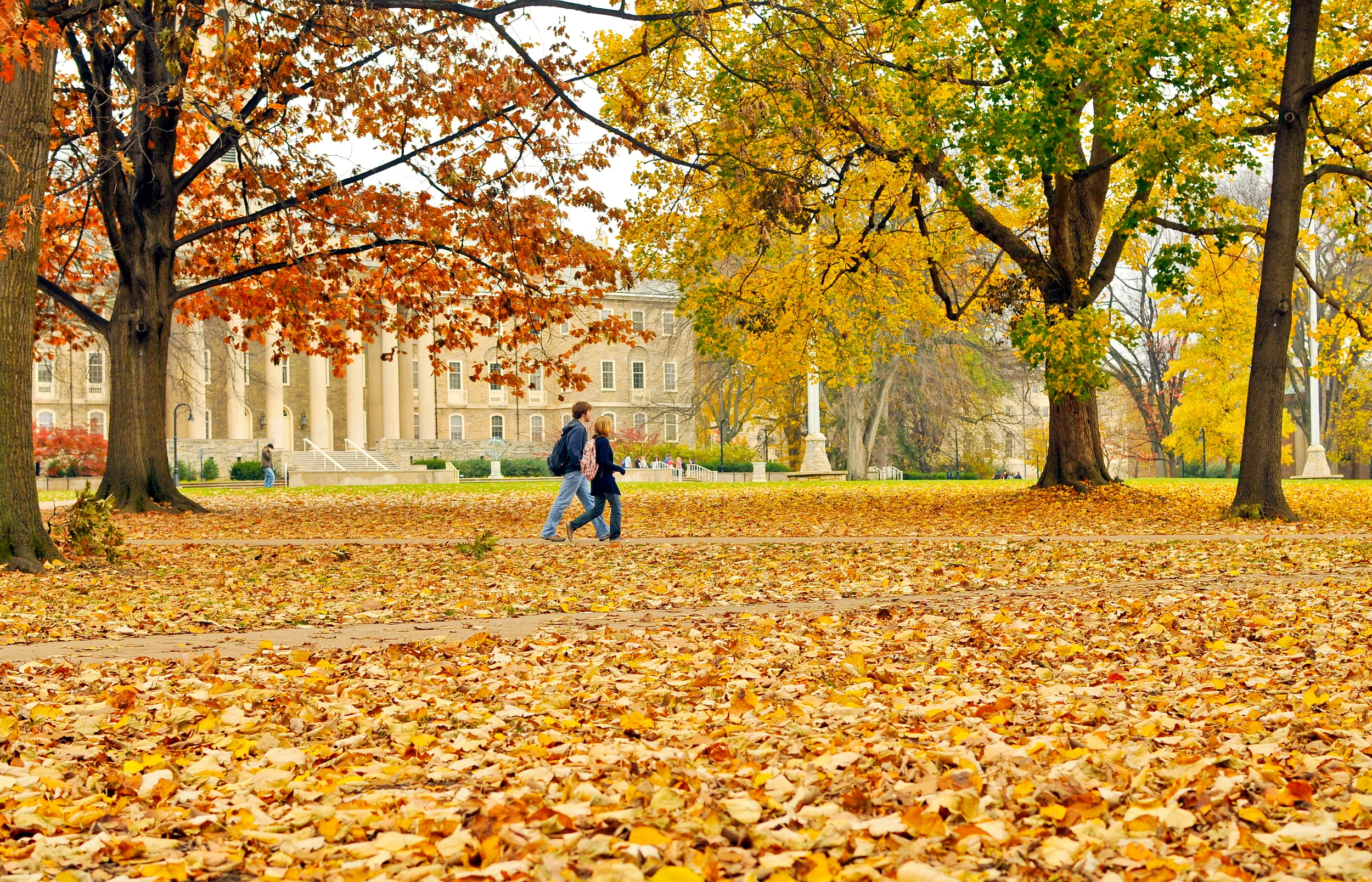 01colwell_fall.jpg