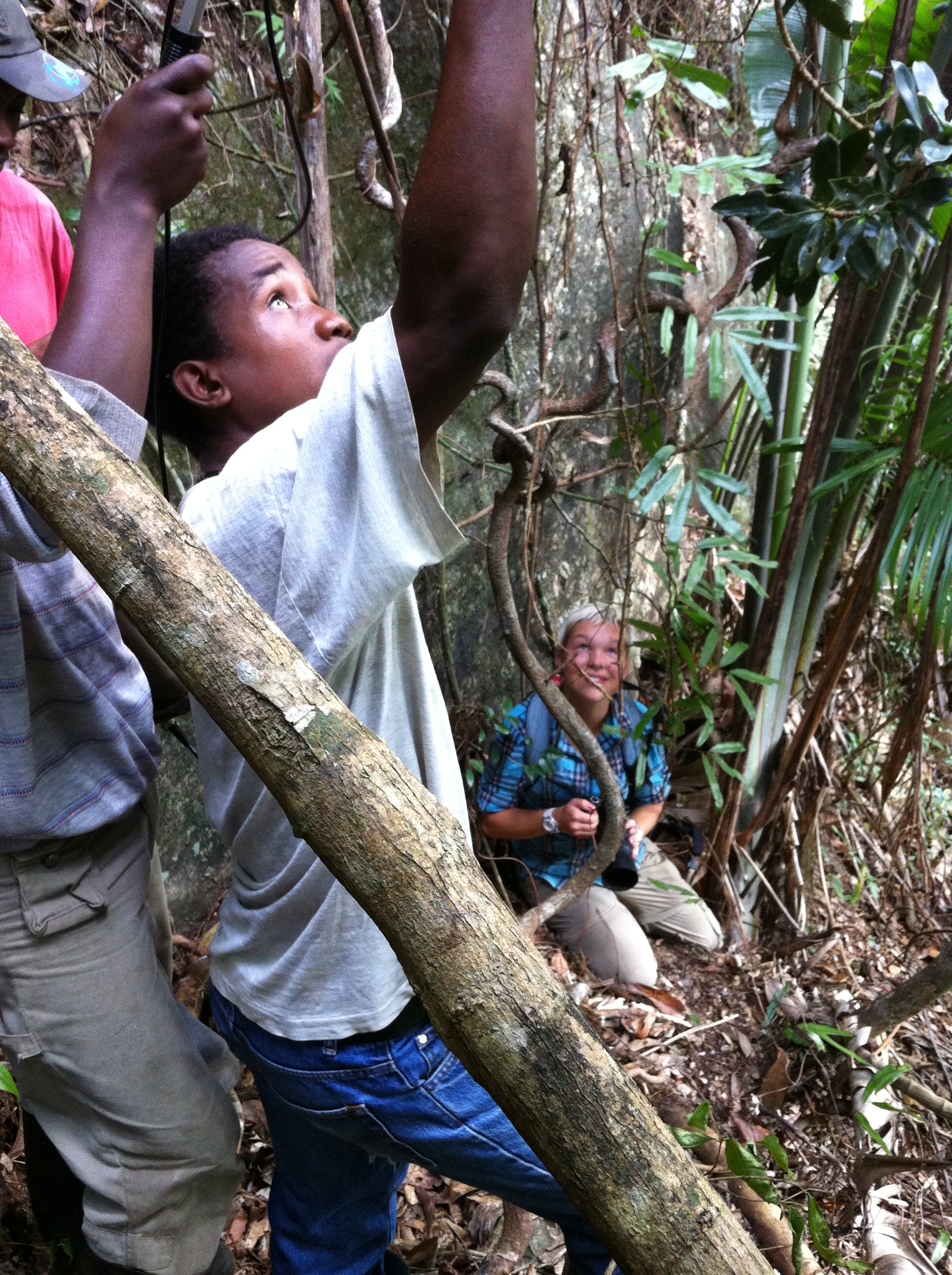  Kate Thompson, then an undergrad in our lab, observing Madagascar Biodiversity Partnership guides locate a radio-collared aye-aye near Kianjavato, Madagascar 