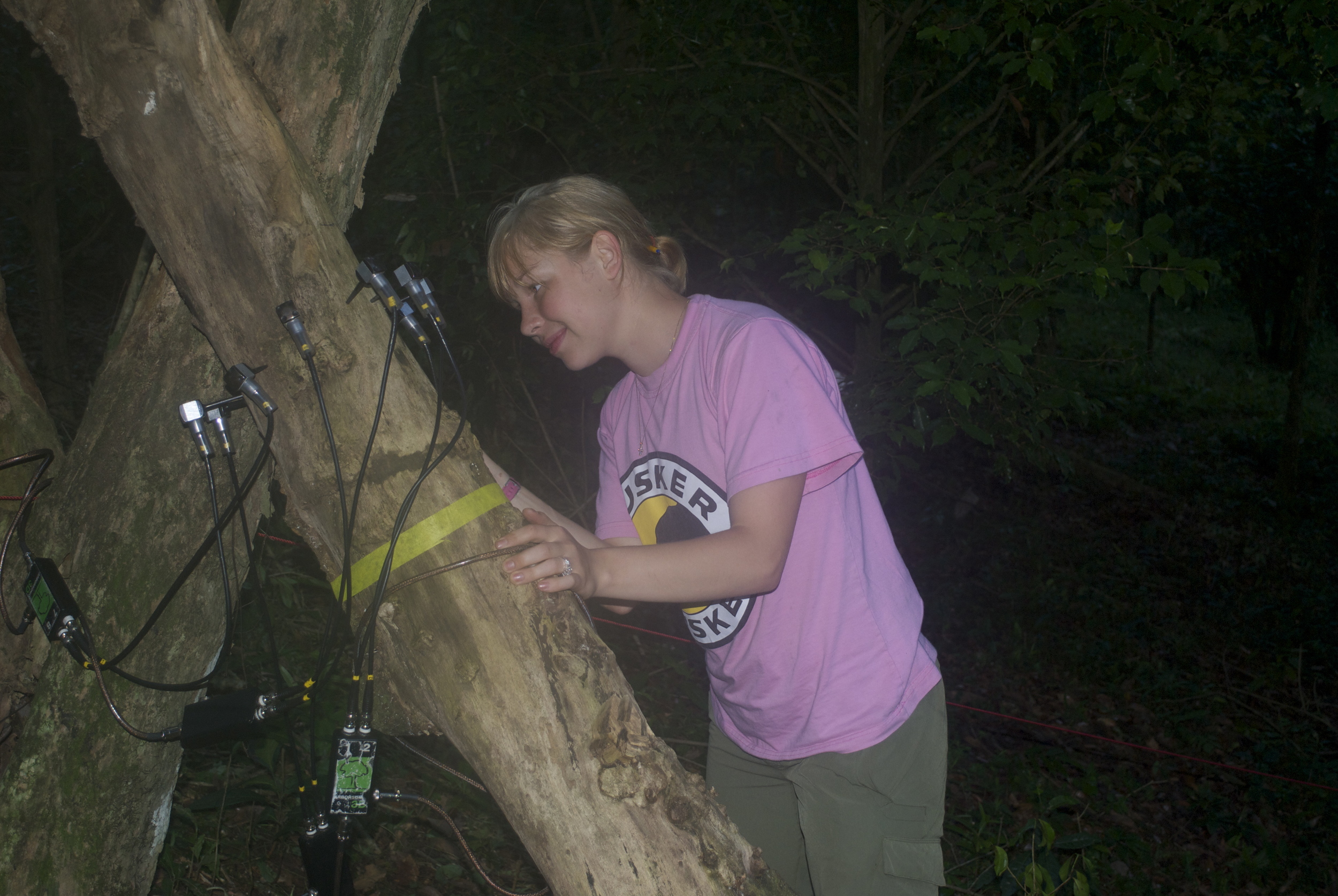  Undergraduate student Kate Thompson using the Arborsonic 3D Acoustic Tomograph to measure tree internal density properties for her study of aye-aye foraging behavior, near Kinjavato, Madagascar 