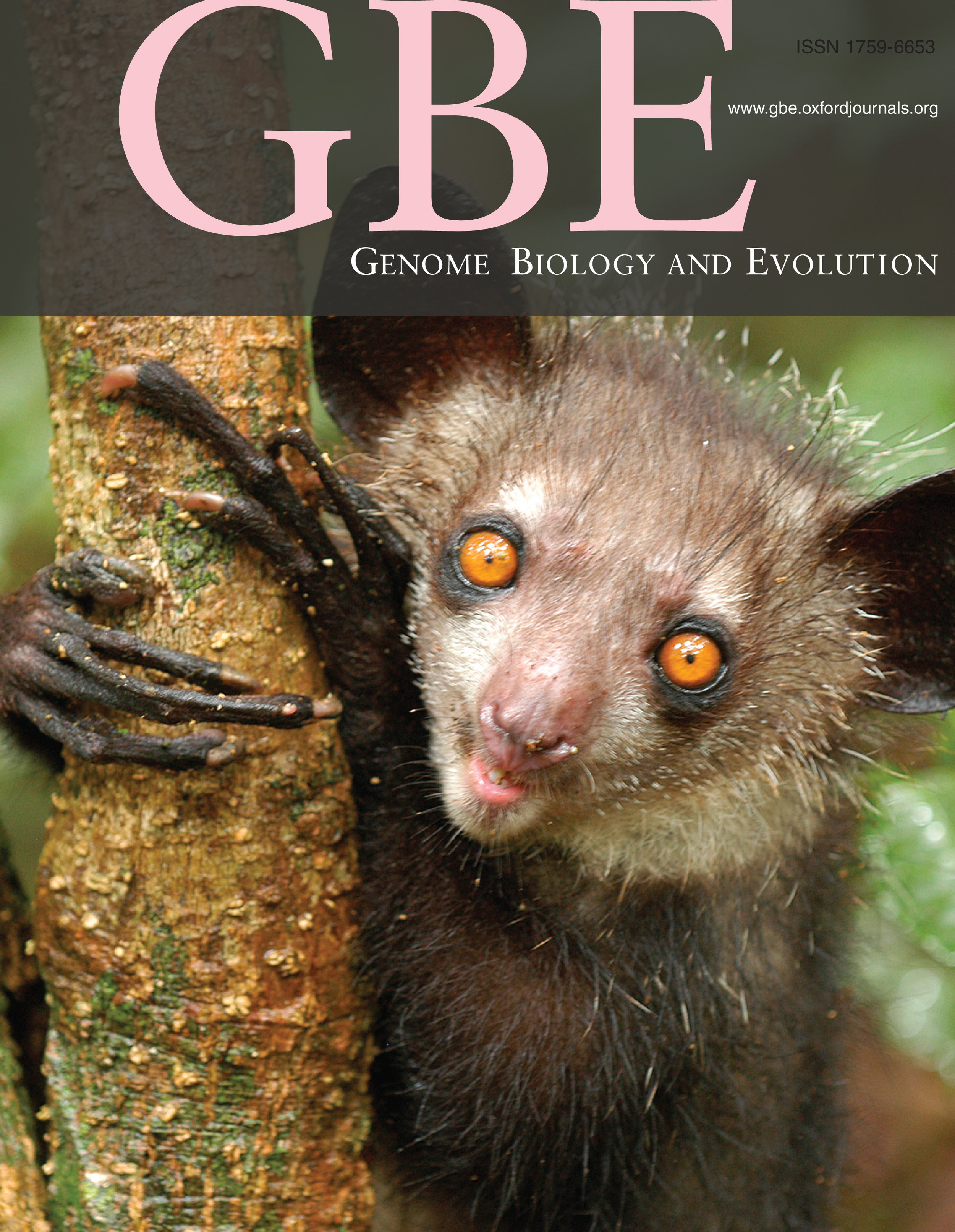   Genome Biology and Evolution  cover for  Perry et al. 2012 . Cover photo by Edward Louis. 