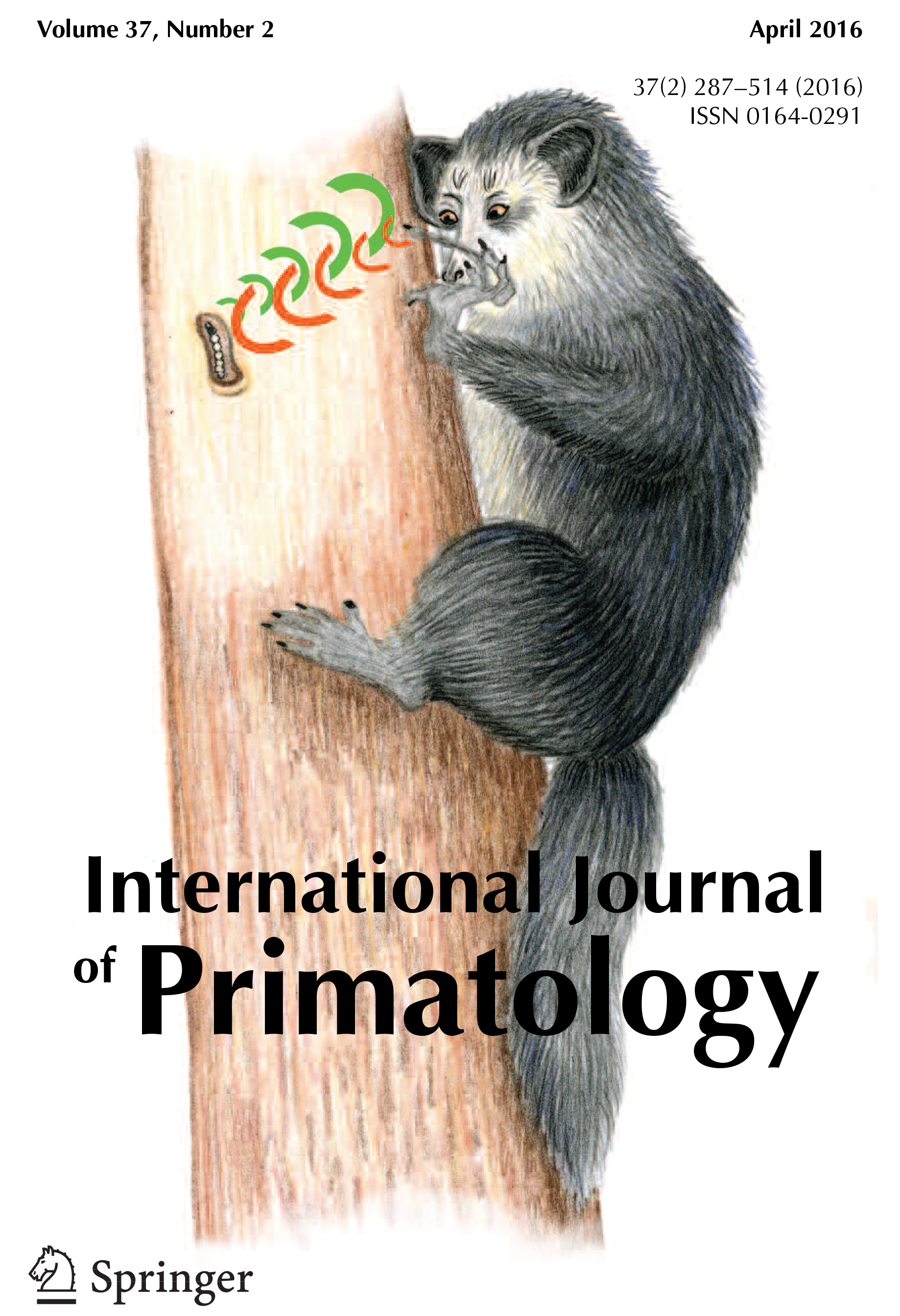   International Journal of Primatology  cover for  Thompson et al. 2016 . Illustration by Kate Thompson (Kate's undergraduate honors thesis in our lab developed into this paper) 