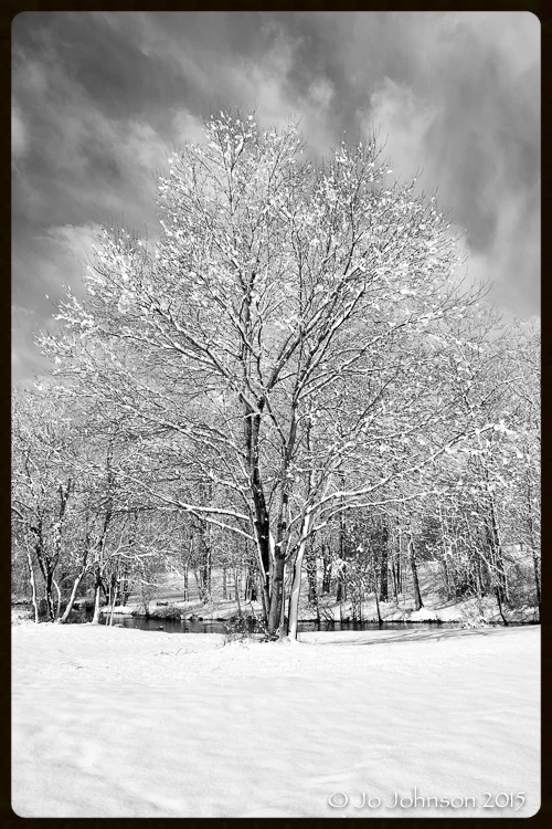 First day of spring