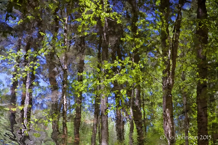 Reflection