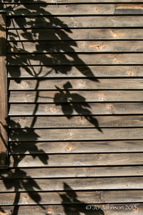 Shadows 