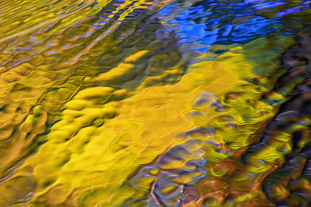 Fall Reflection (Photo Credit: Dan Sniffin)