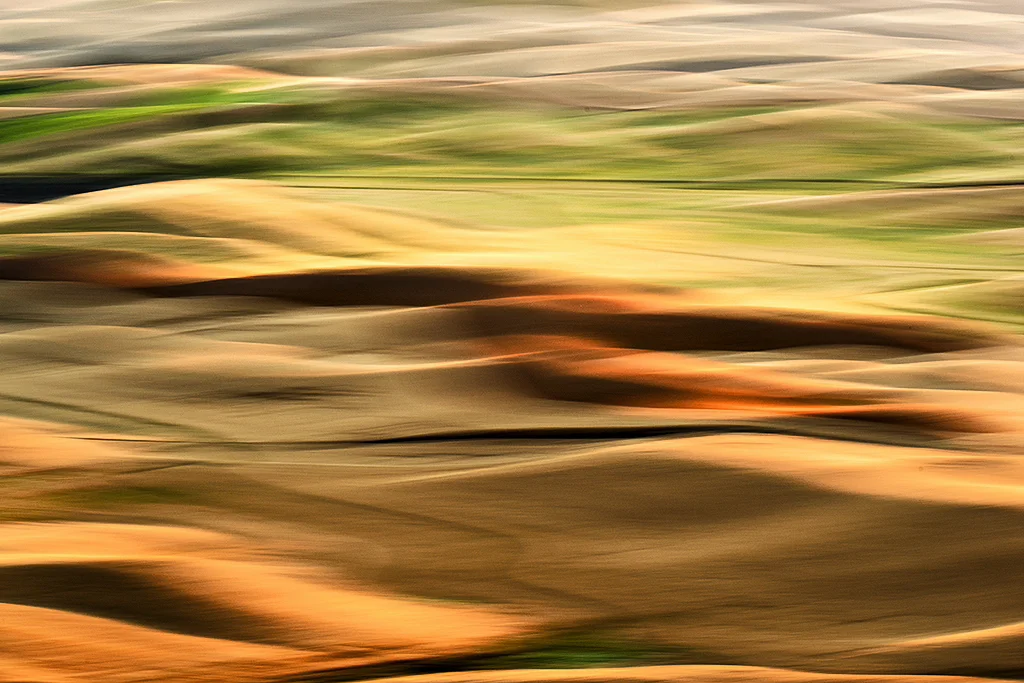 Palouse Hills (Photo Credit: Dan Sniffin)