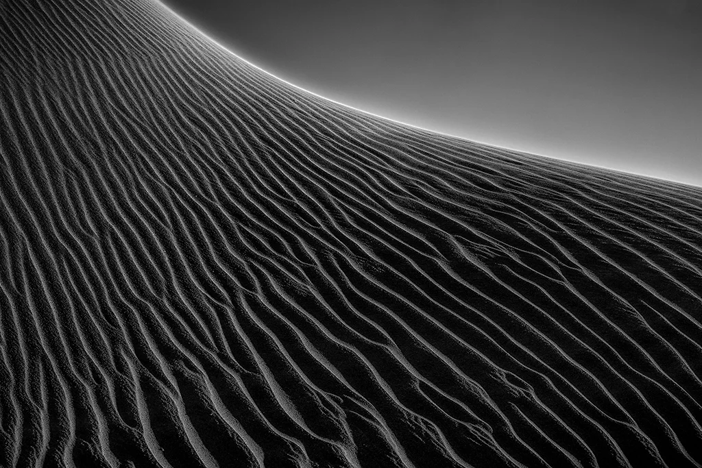 Dune Abstract (Photo Credit: Dan Sniffin)