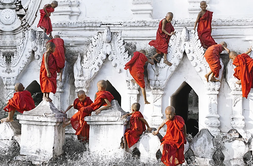 Cardinals Climbing ( Photo Credit: Felice Willat)