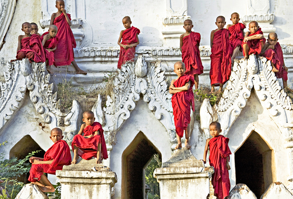 Cardinals (Photo Credit: Felice Willat)