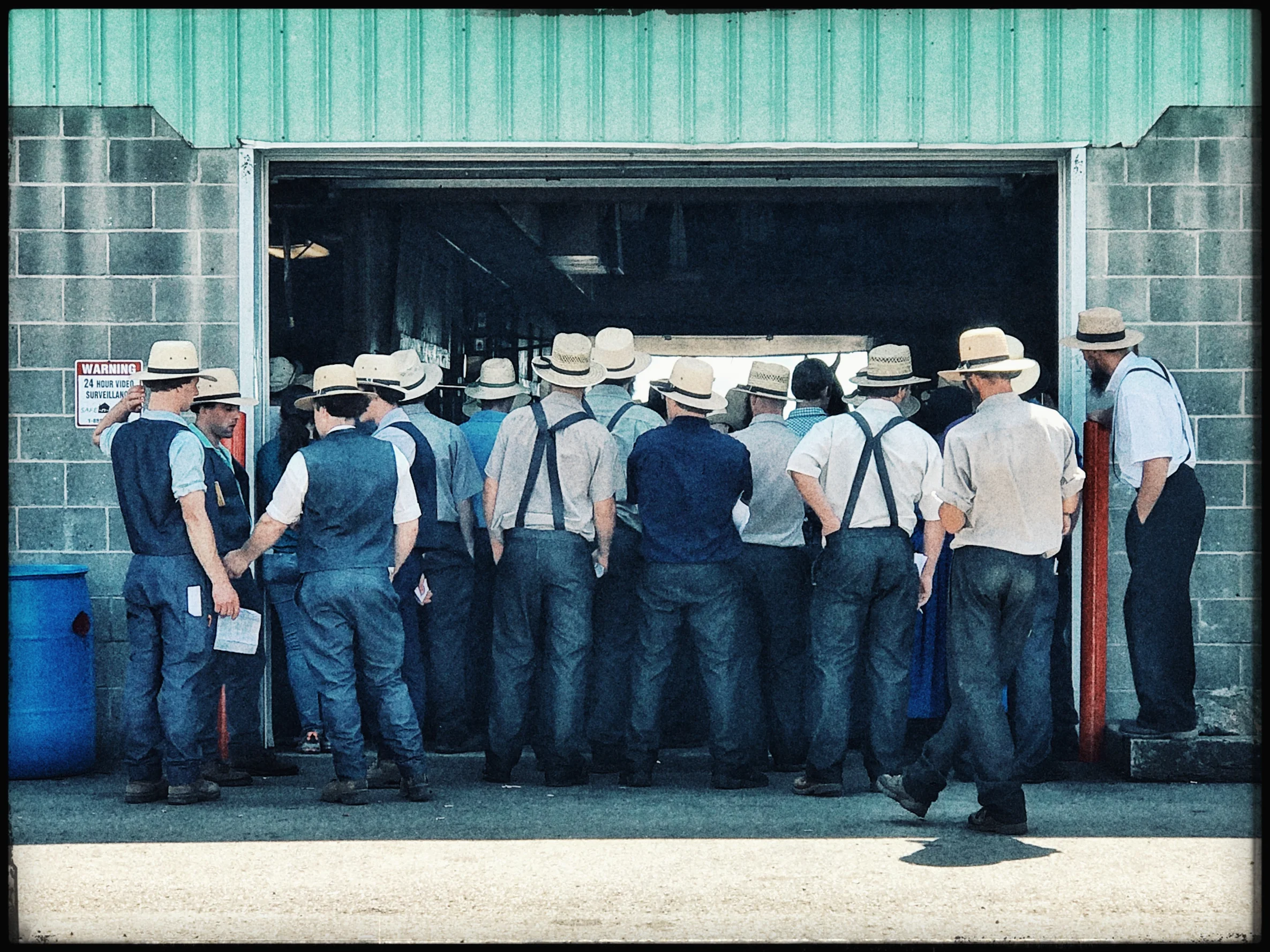 "Amish Horse Auction" - Ohio