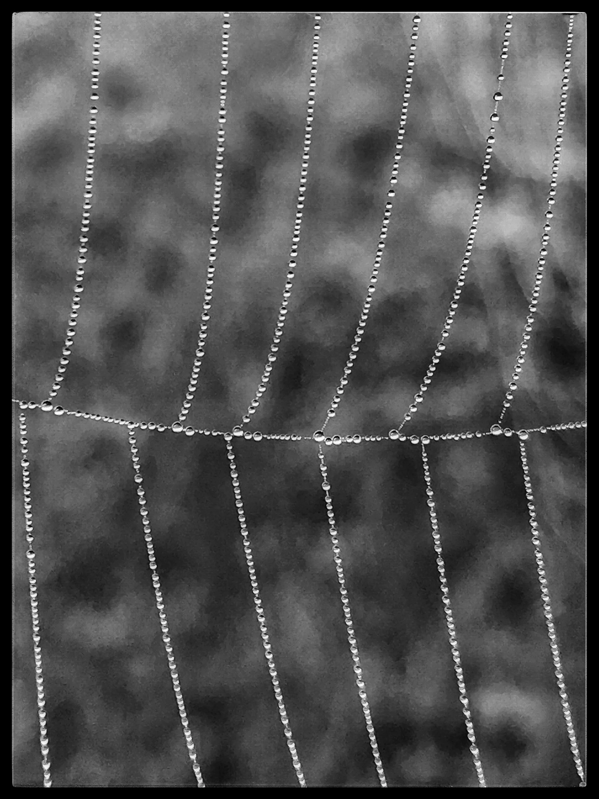 "Learning iPhone Macro" - Ohio