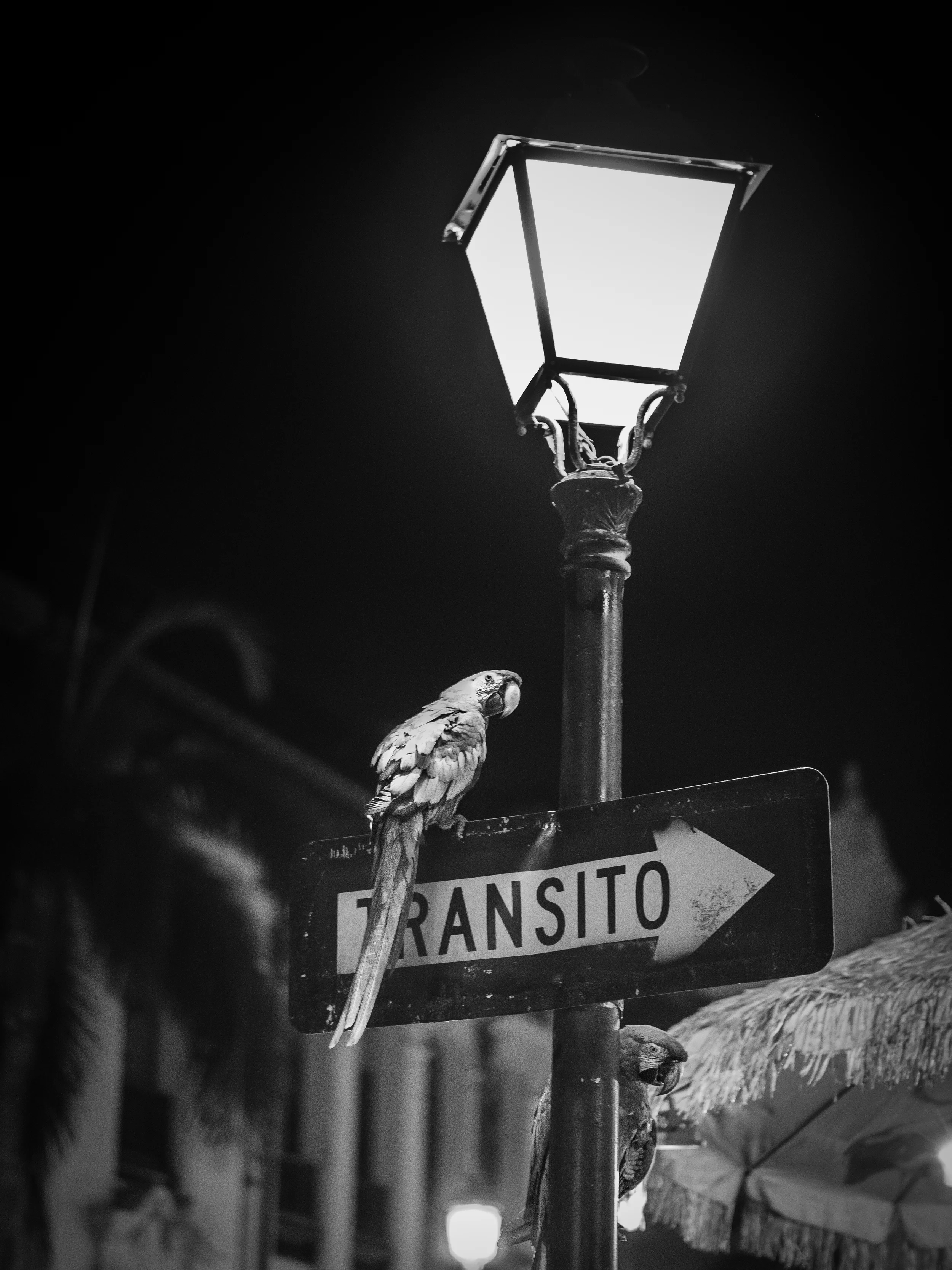 Calle Recinto Sur
