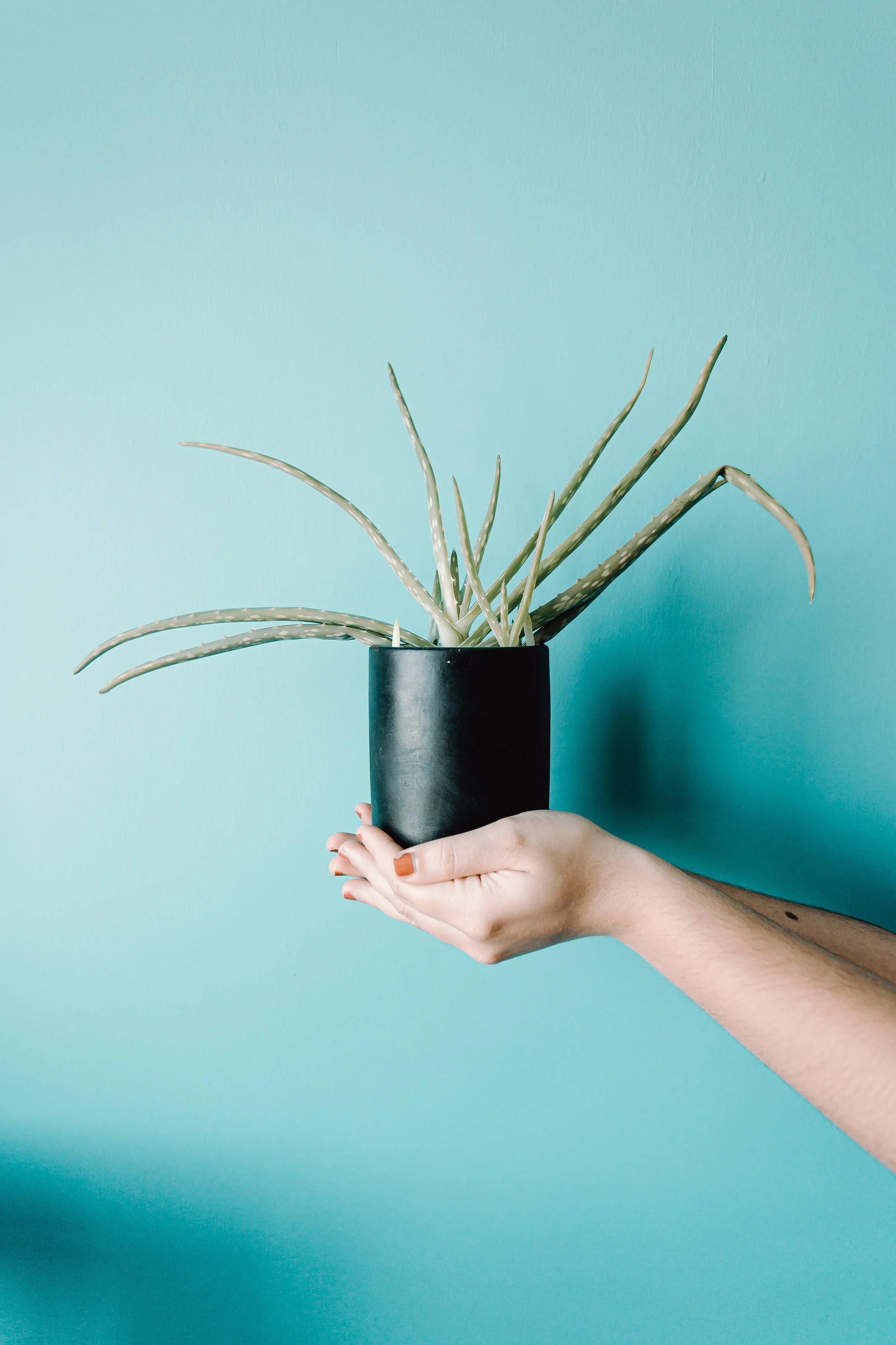 Rhythms and Systems to Grow a Healthy Worship Team