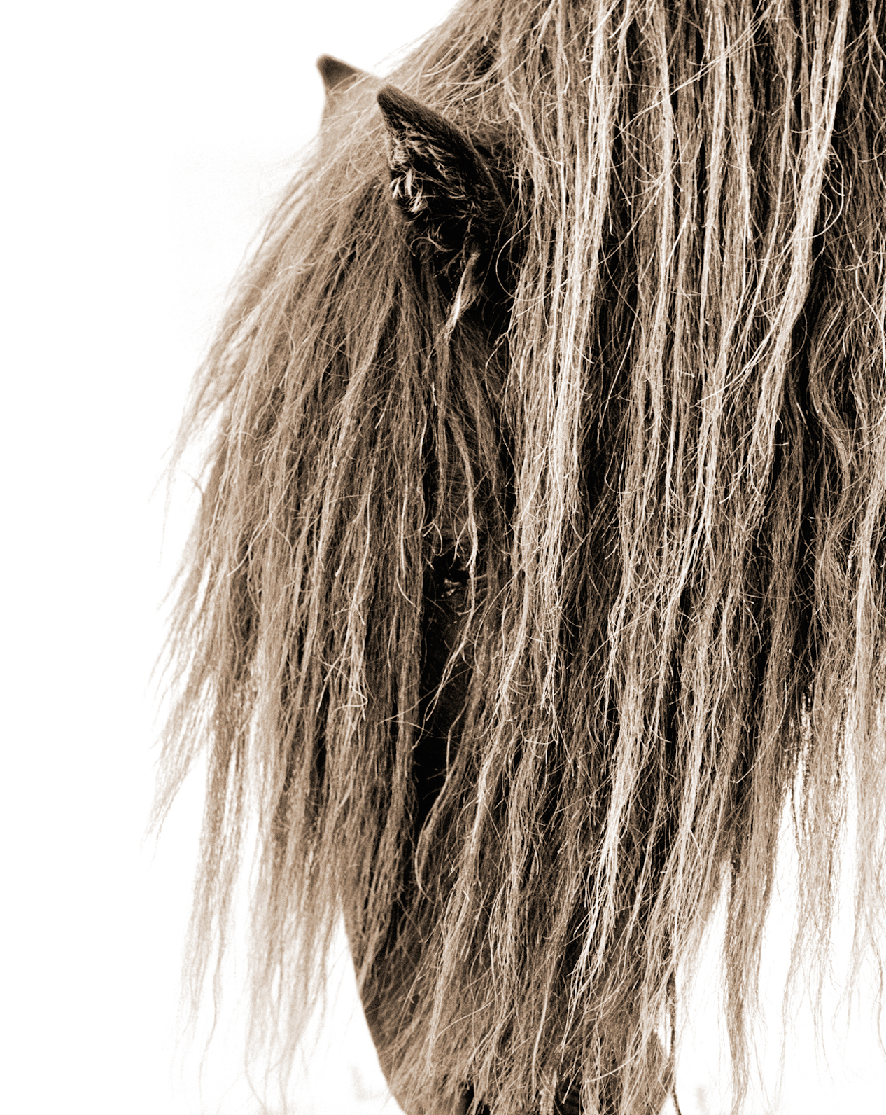 HAIR